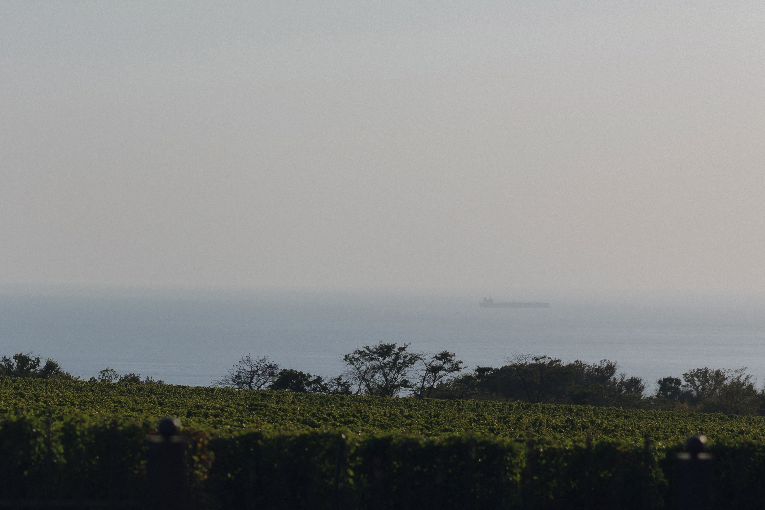 E&I. Свадебный и семейный фотограф в Краснодаре и крае