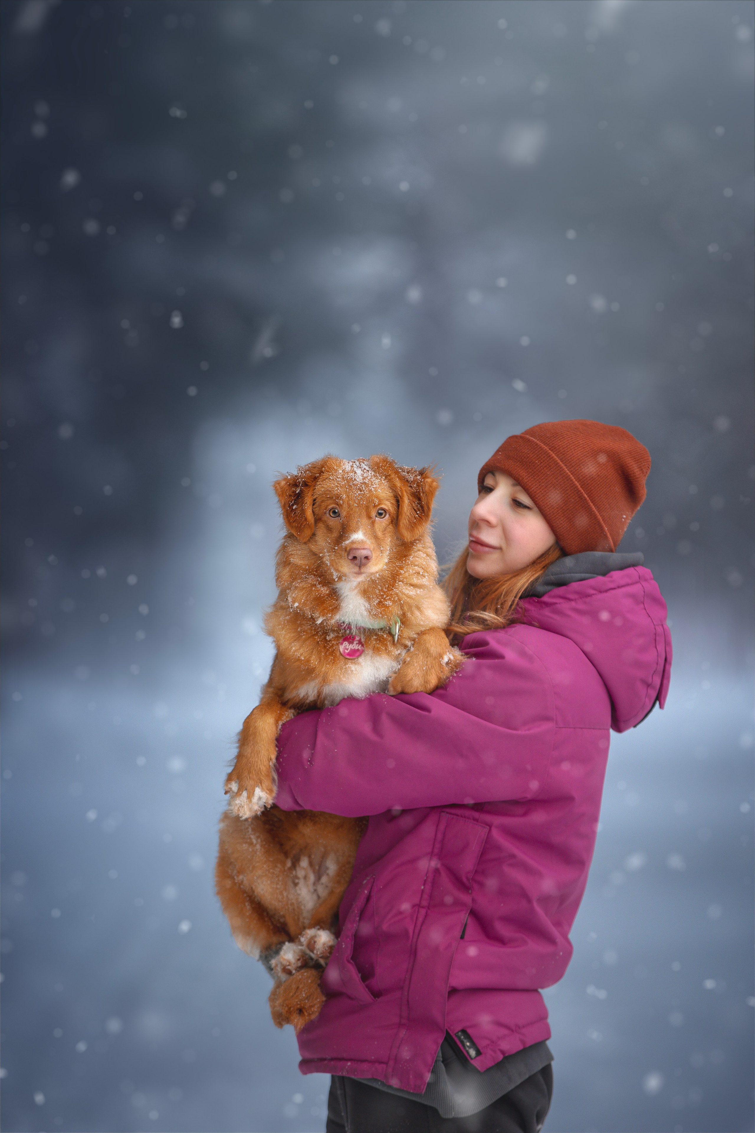 Руби, Николь, Кирилл и Мила. Фотограф анималист в Москве Майорова Евгения