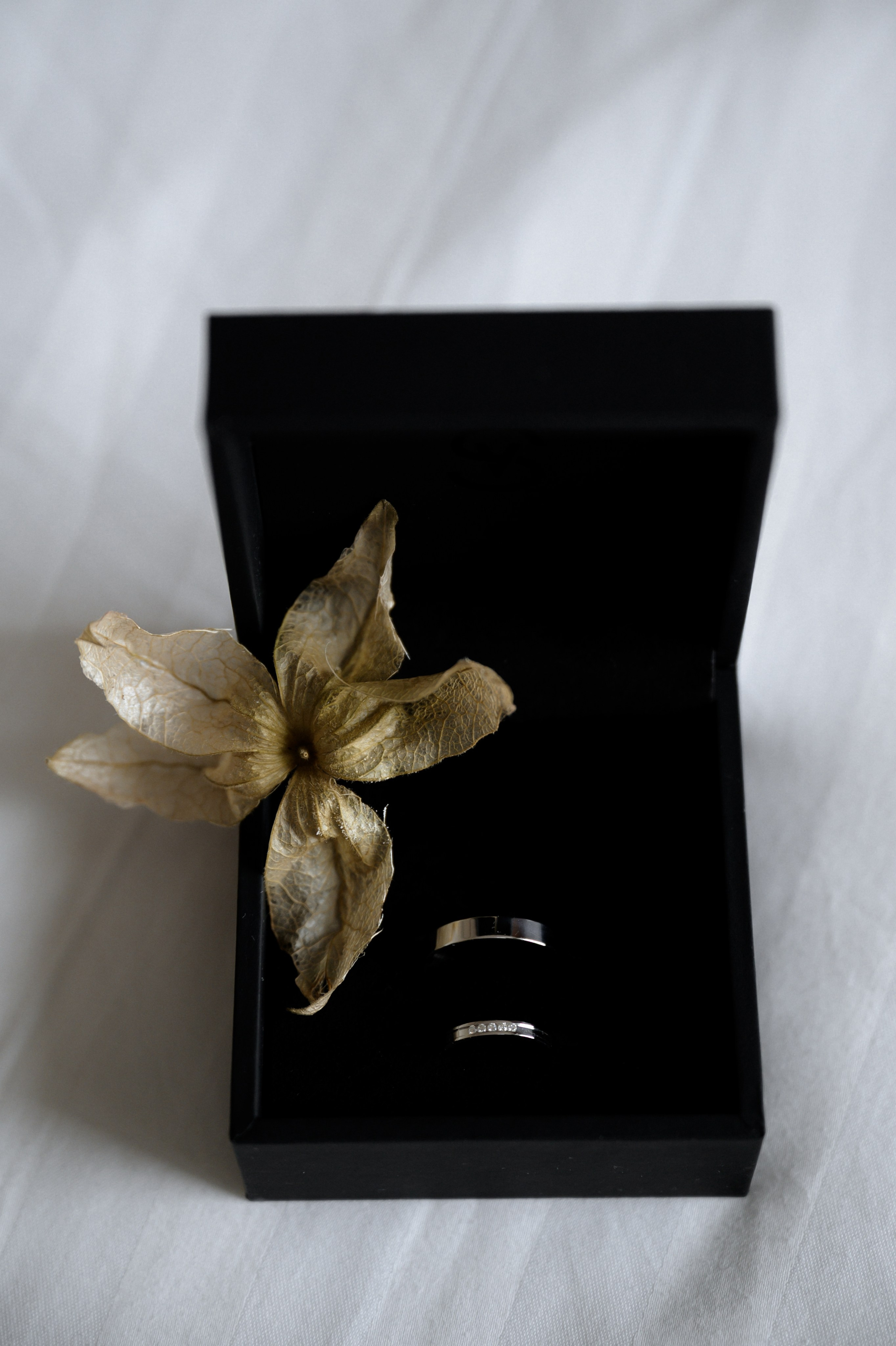 04.09.2024. RETOUCH-HOUSE