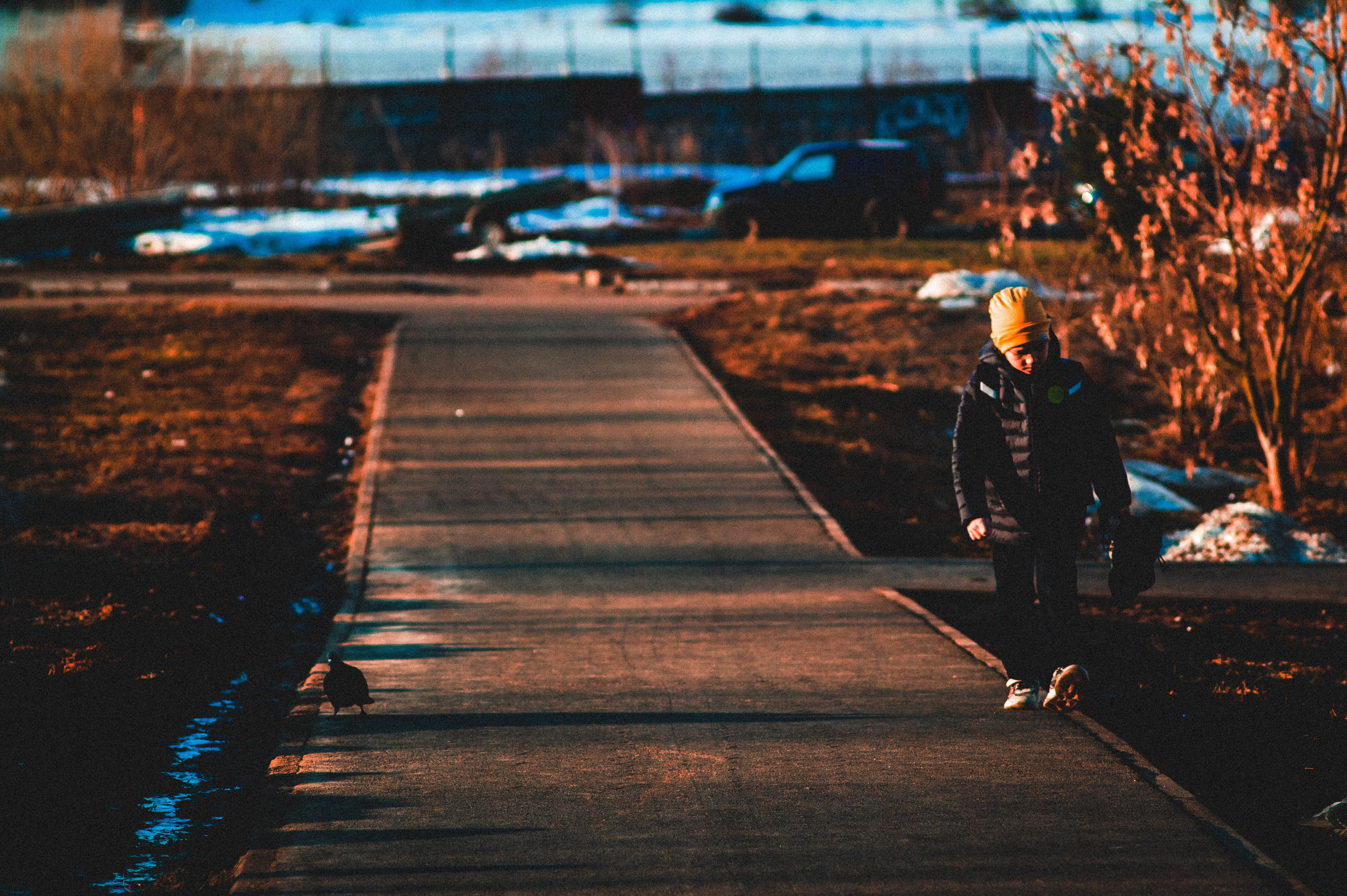 Со дна на вершину. Den Mirov — Фотограф, Музыкант
