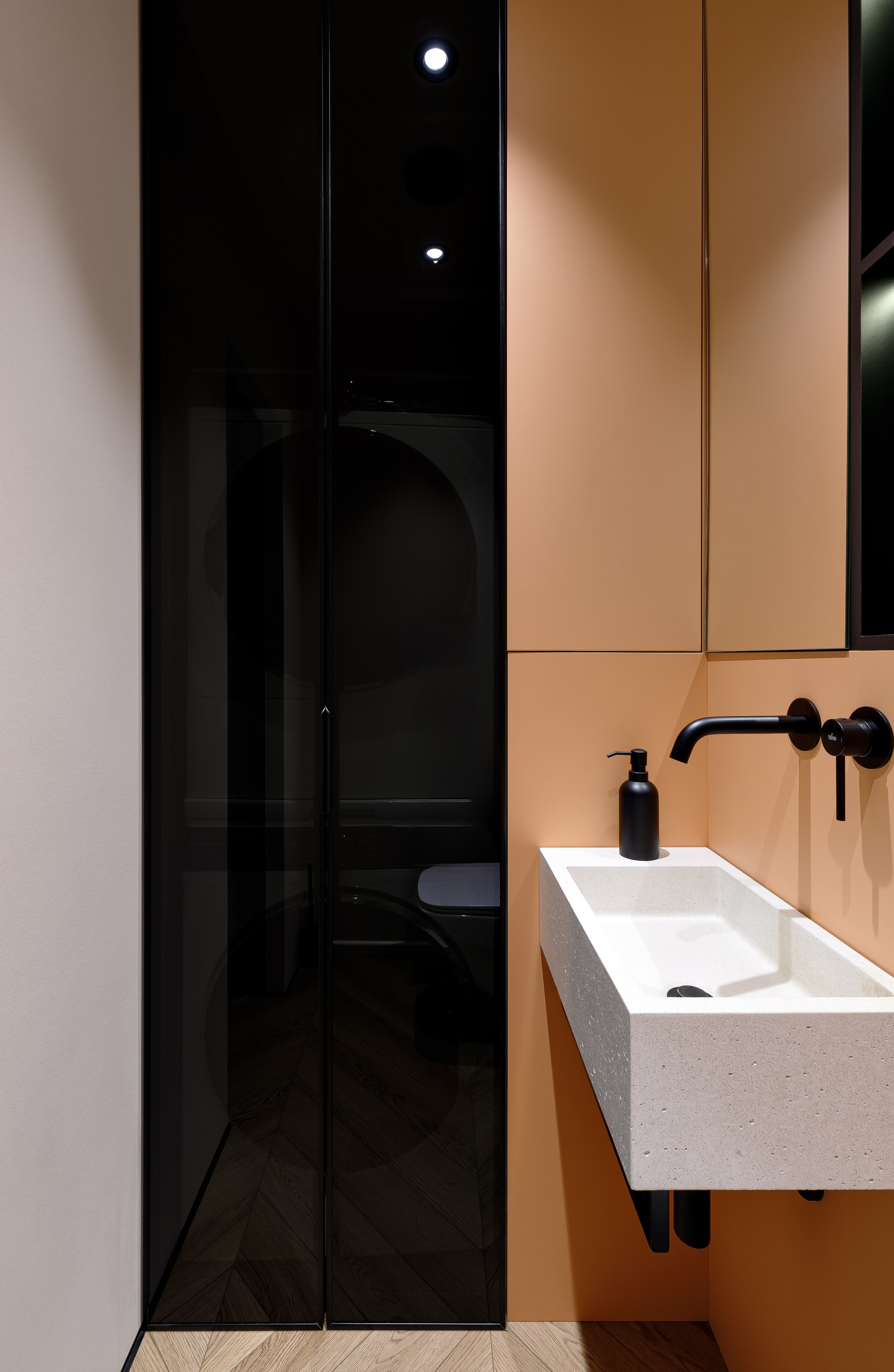 Гостевой сан.узел. Пространство