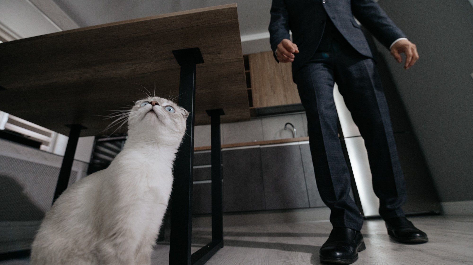 Светлана & Ришат. Портретный и репортажной фотограф Алексей Волков. Москва, Оренбург