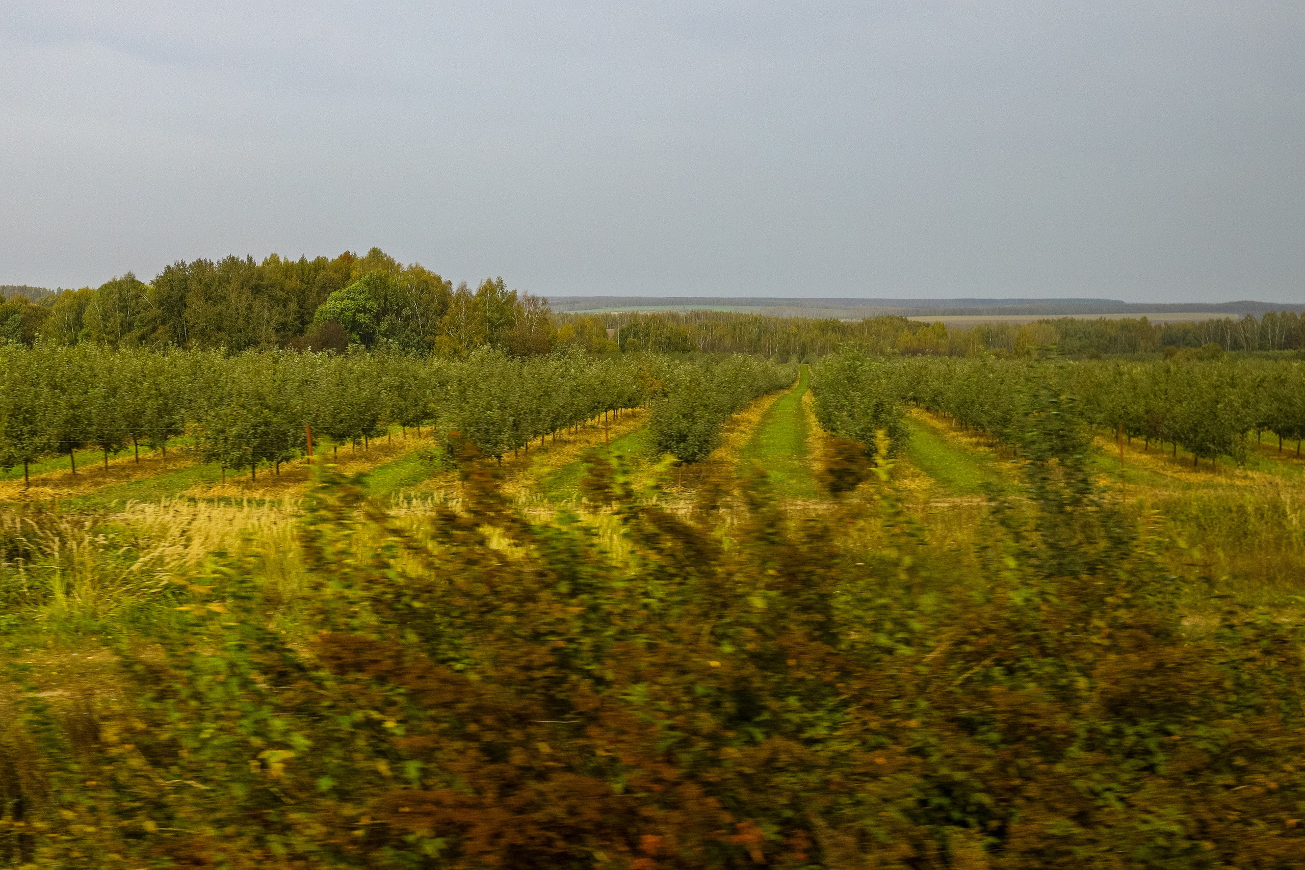 Поездка в Белев и на производство пастилы. Фотограф в Туле Крупский АнДРей. Фотостудия «КАДР71» в Туле