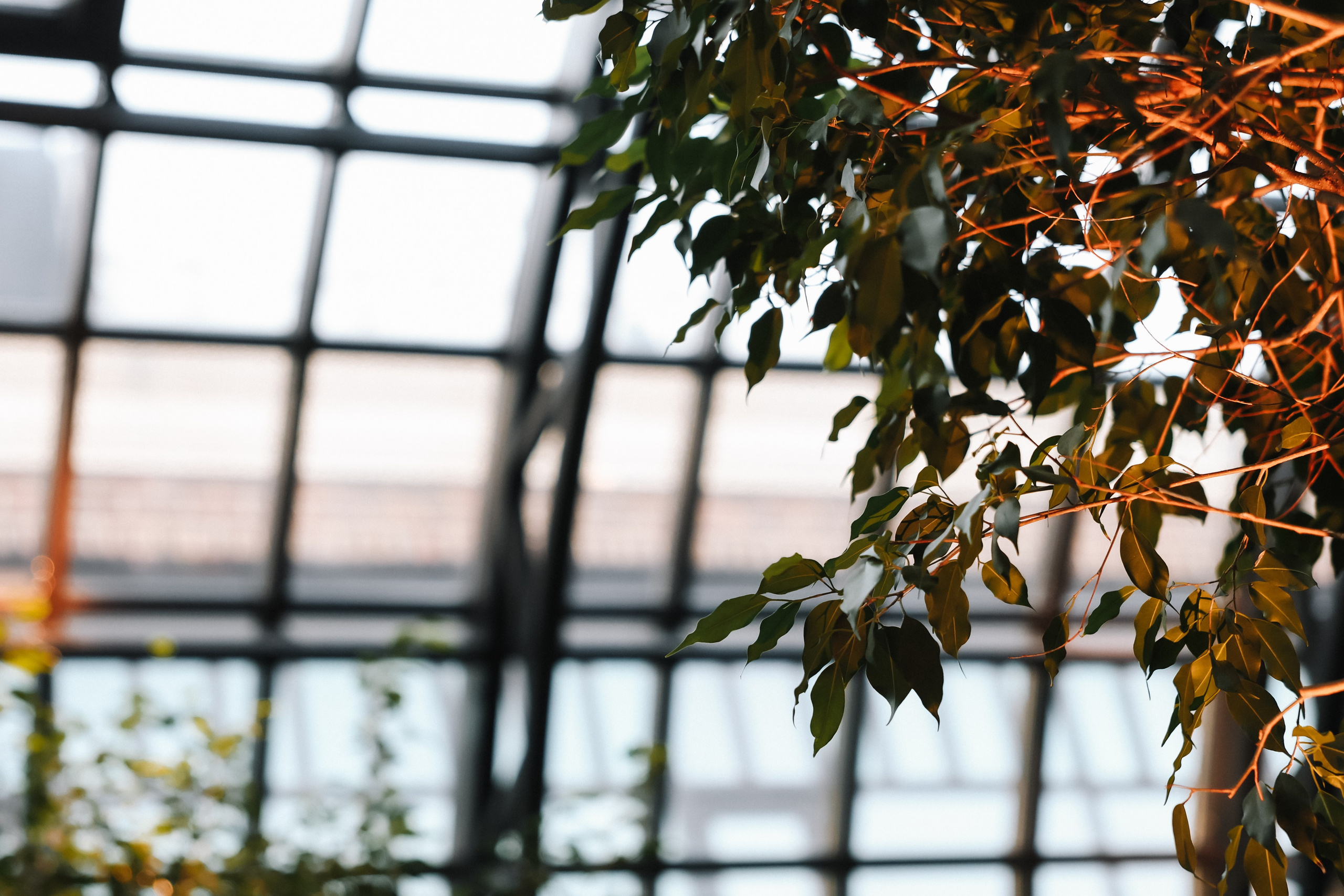 DENIS & ELIZAVETA Барвиха. Kharchenkotatianaweddingphoto