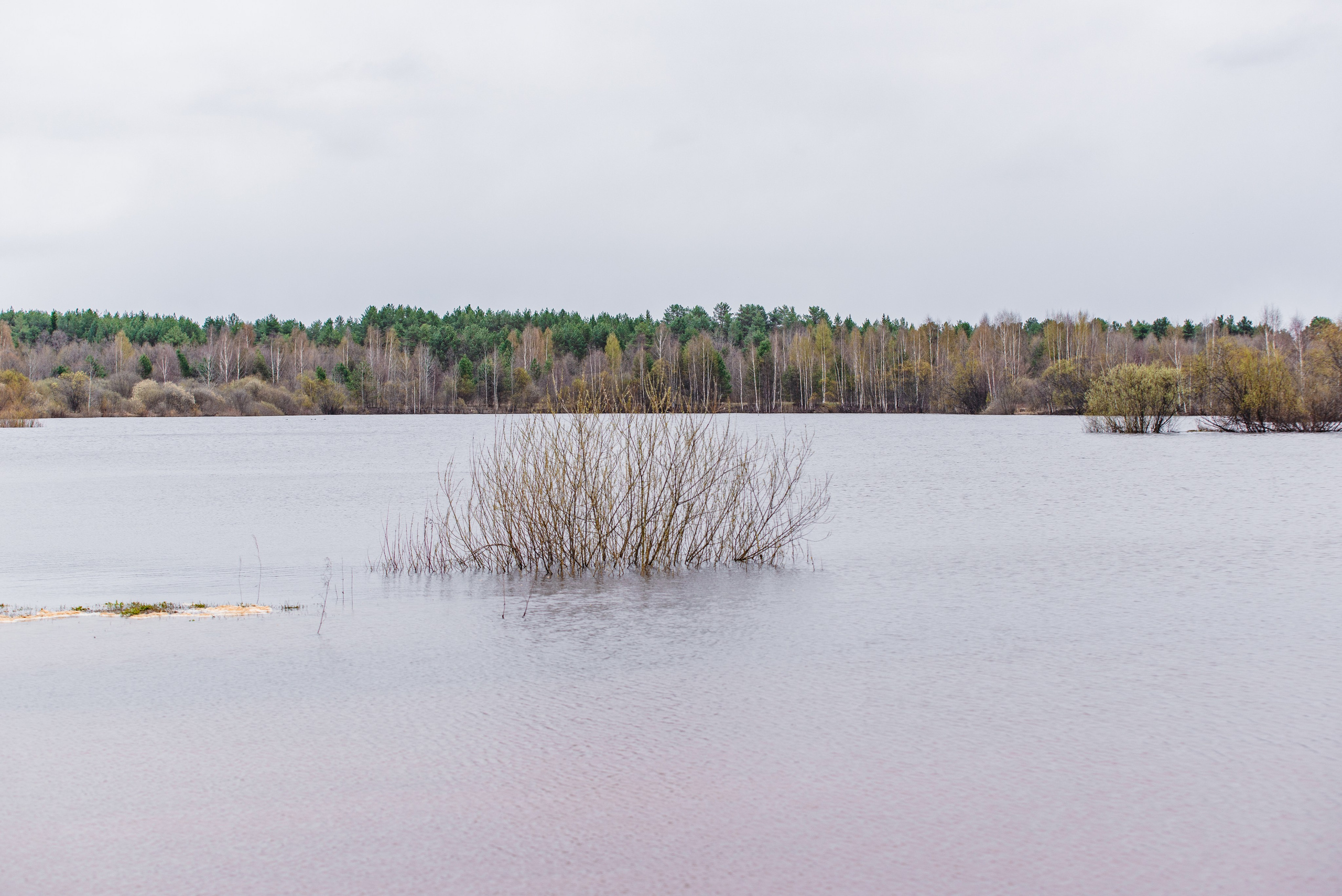 Весна. Фотограф в Ветлуге Сергей Белов (VETLUGA B.S.)