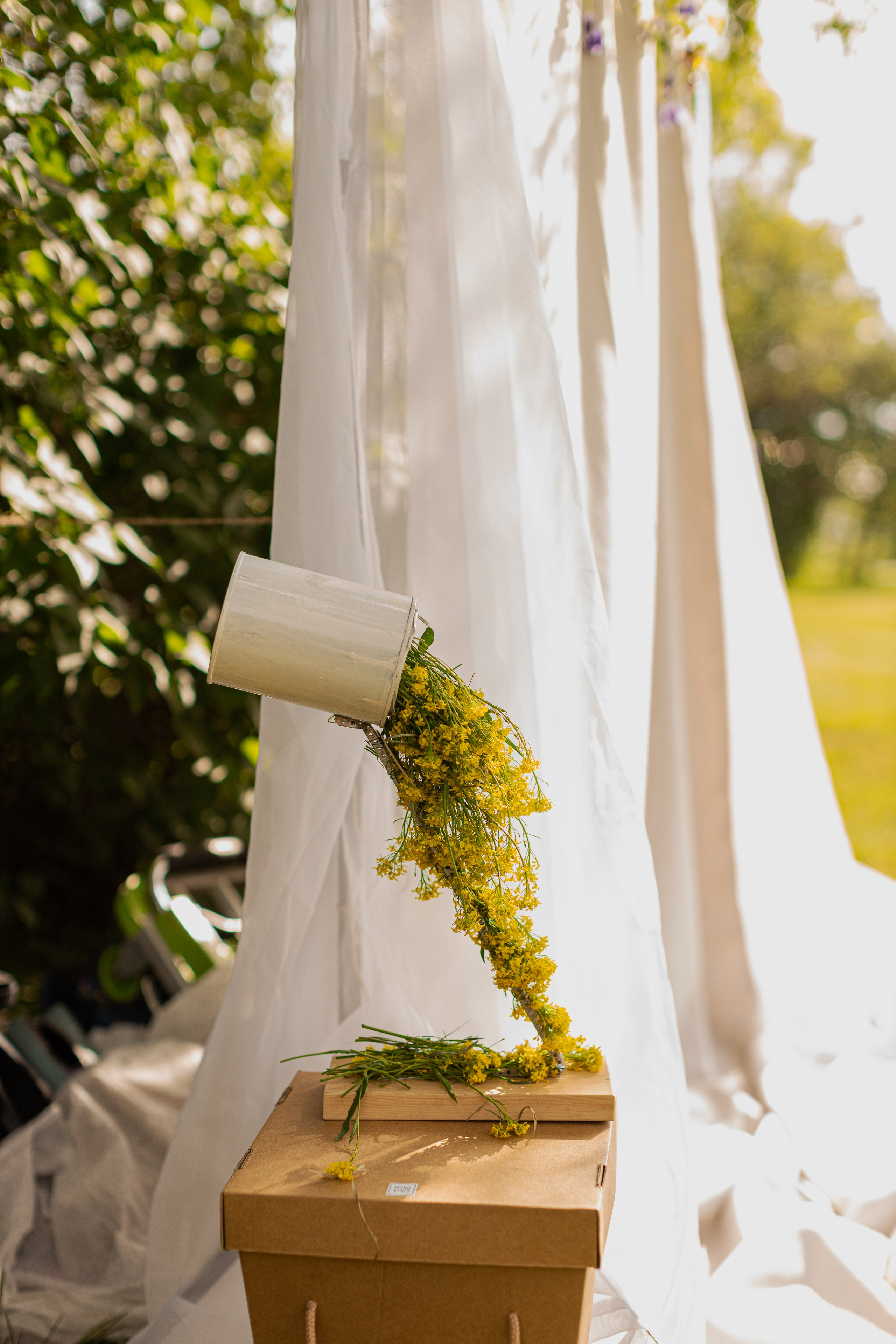 Мк Сирень на зеркале (девичник в парке). Анастасия Ракчеева Художник