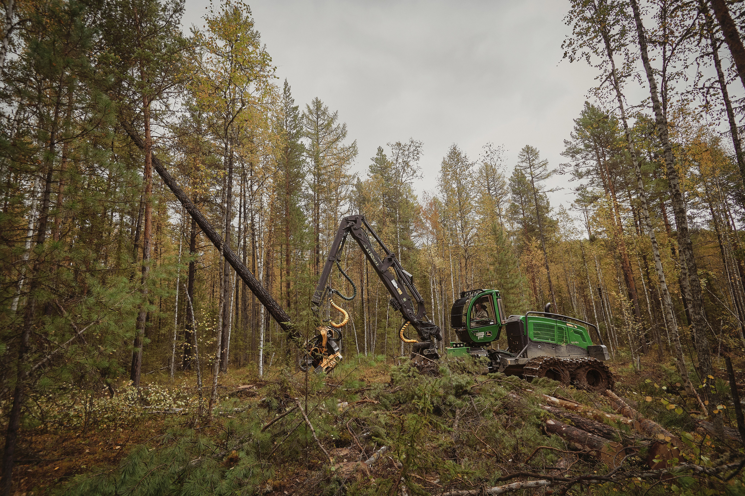 Лесозаготовка г. Мотыгино. Фотограф Яковлев Роман — Красноярск
