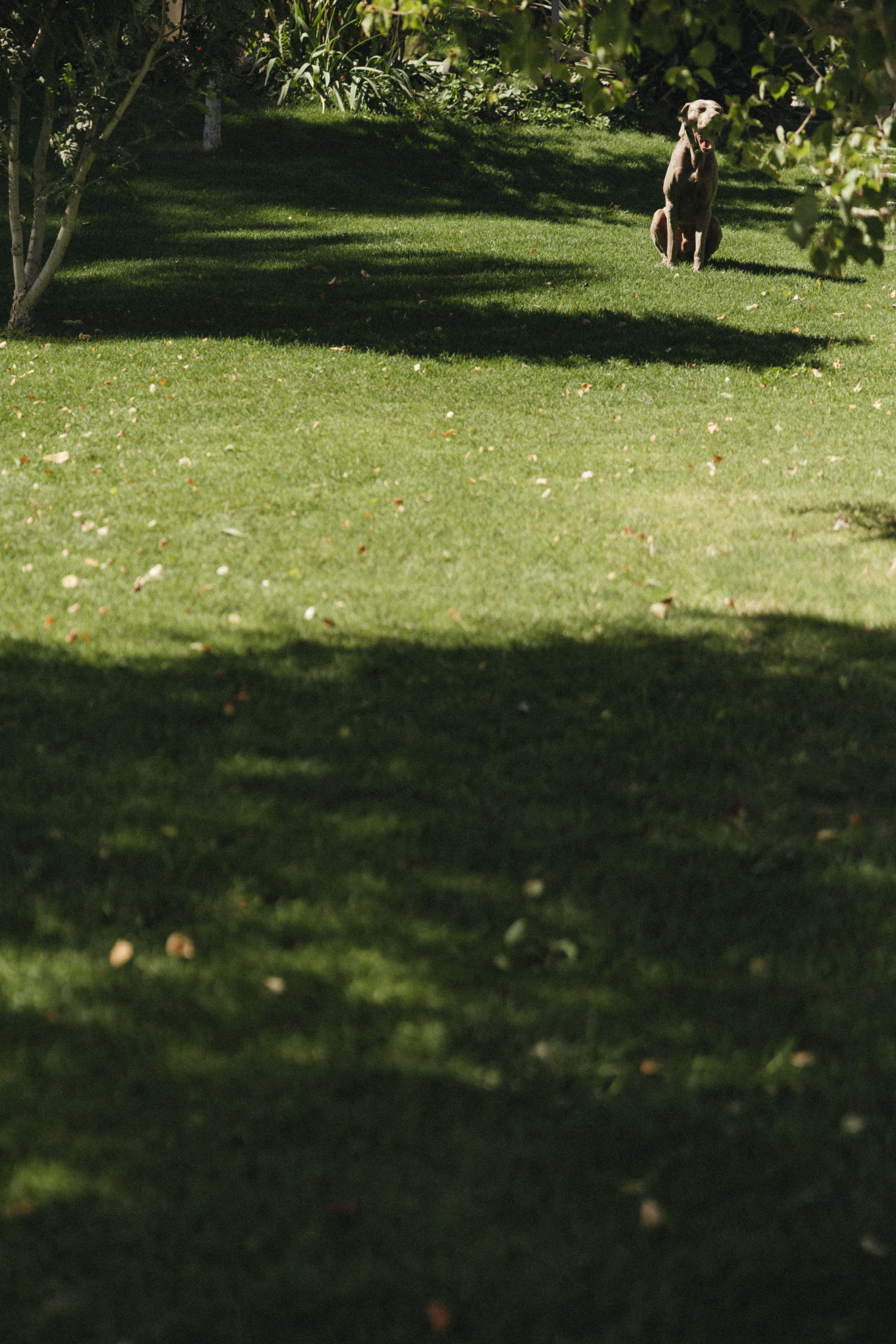 Итальянская свадьба в Крыму (серия собирается). Свадебный и семейный фотограф и видеограф, Крым, Москва, Санкт -Петербург