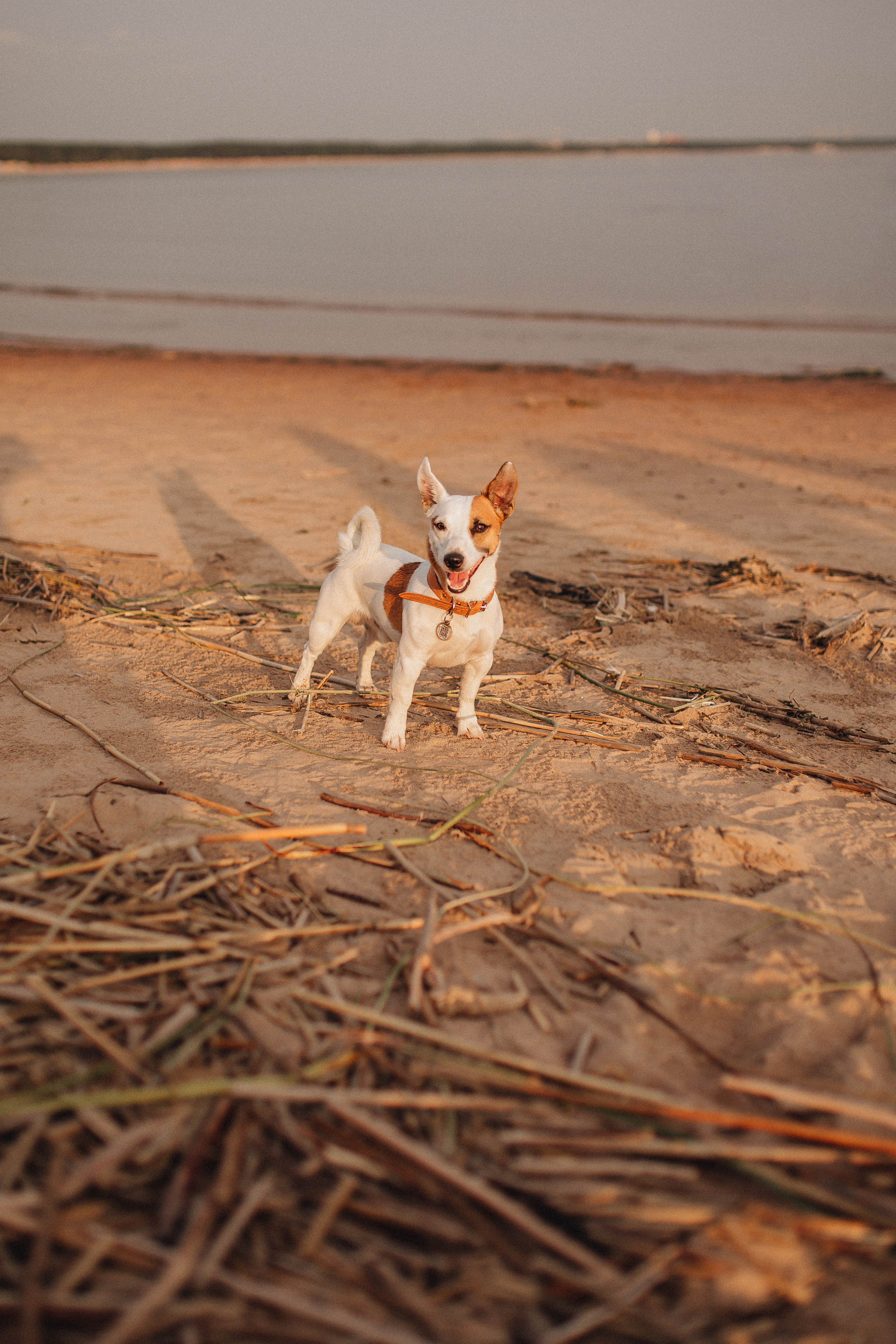 Финский залив. Фотограф в Санкт Петербурге Лара Великова