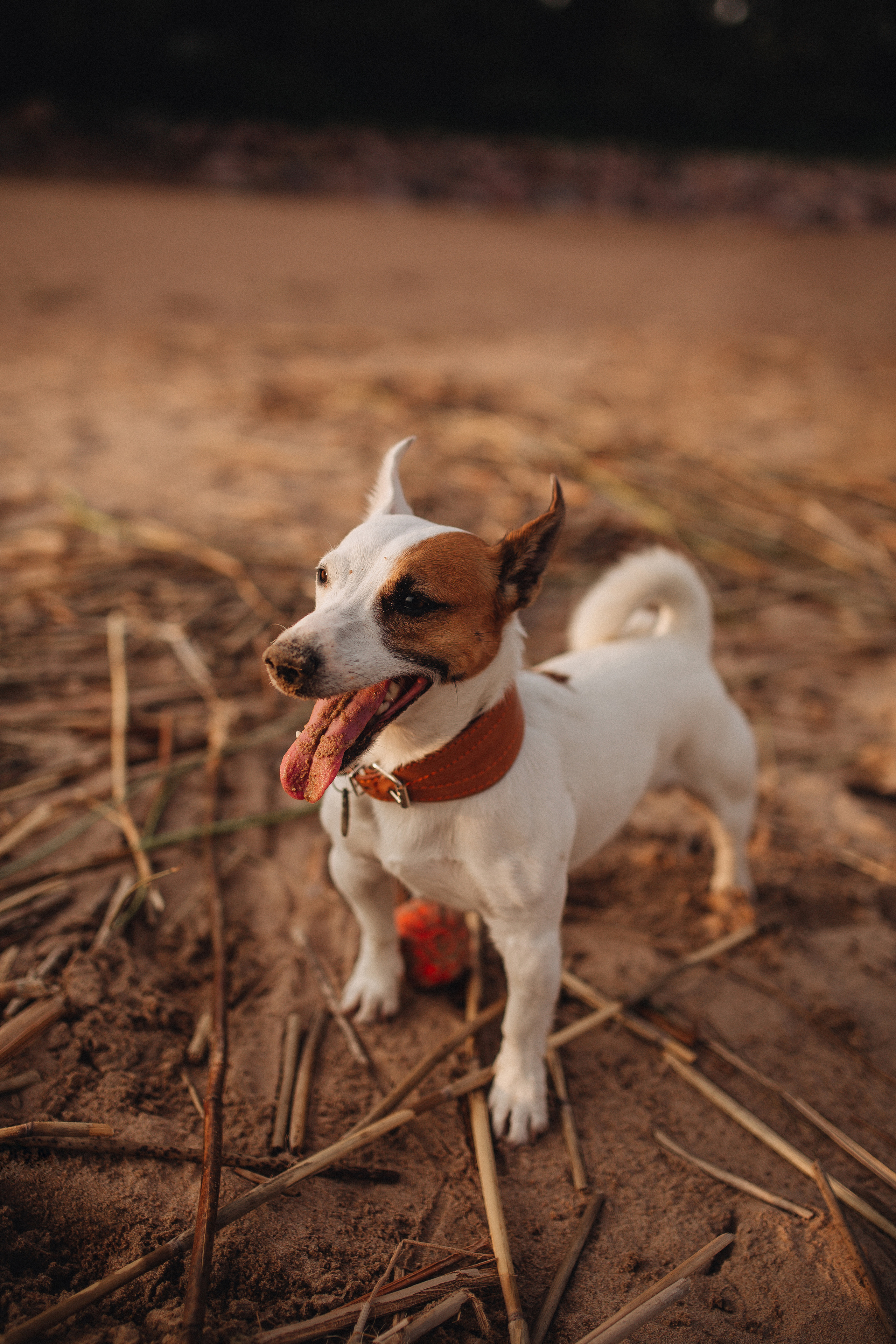 Финский залив. Фотограф в Санкт Петербурге Лара Великова