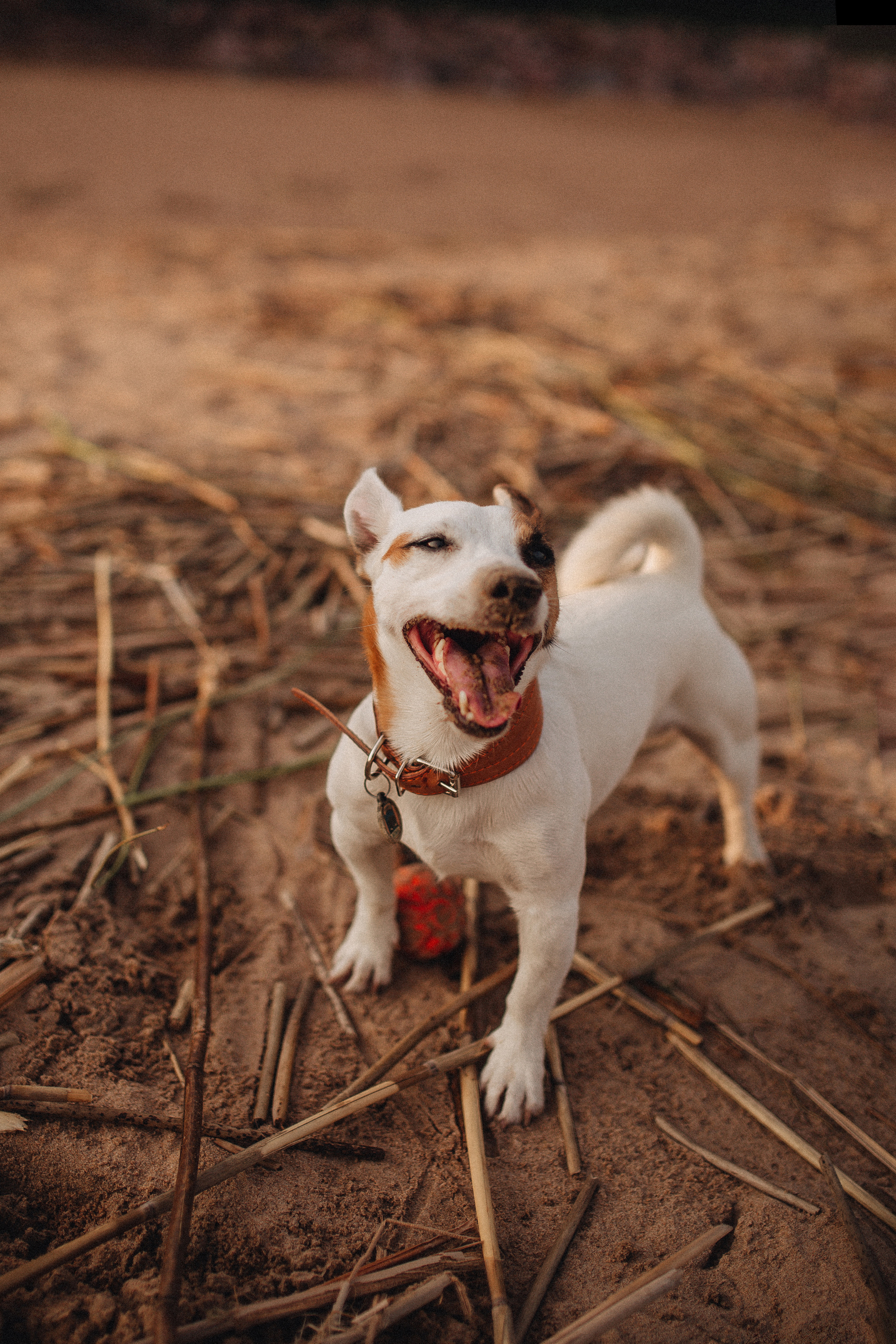 Финский залив. Фотограф в Санкт Петербурге Лара Великова