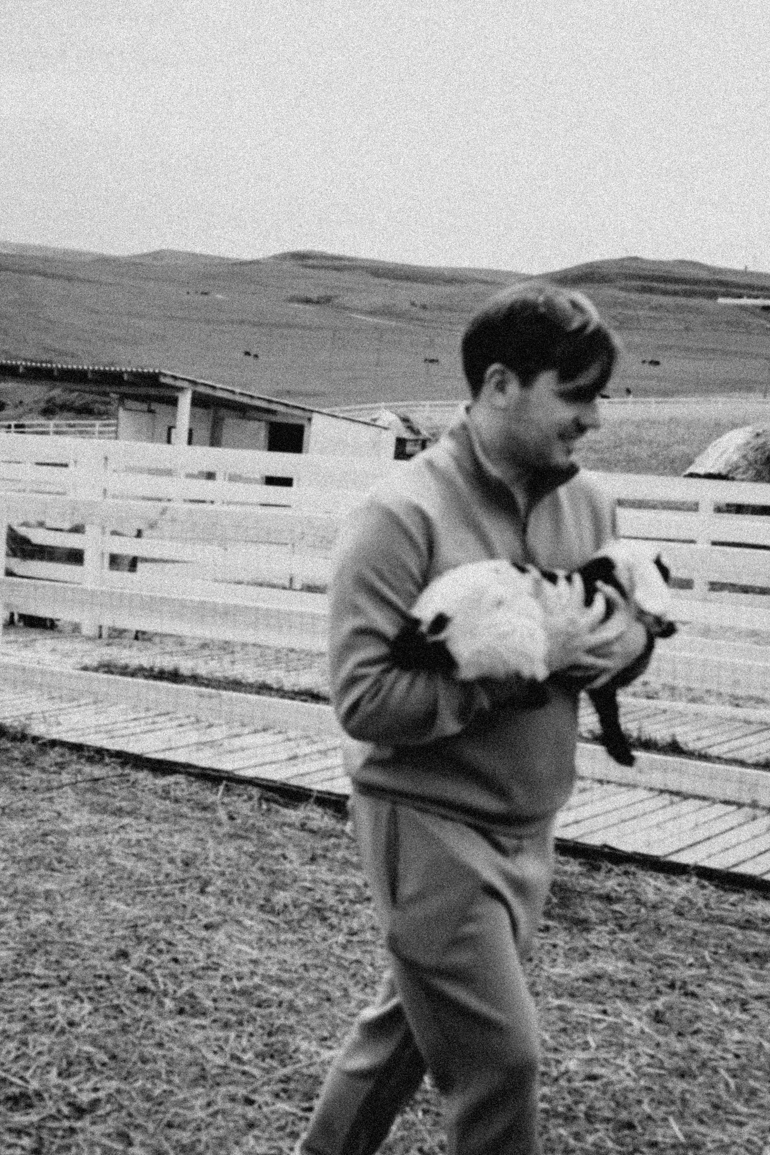 Ферма Альпак. Профессиональный фотограф, Санкт-Петербург — Виктория Богомолова