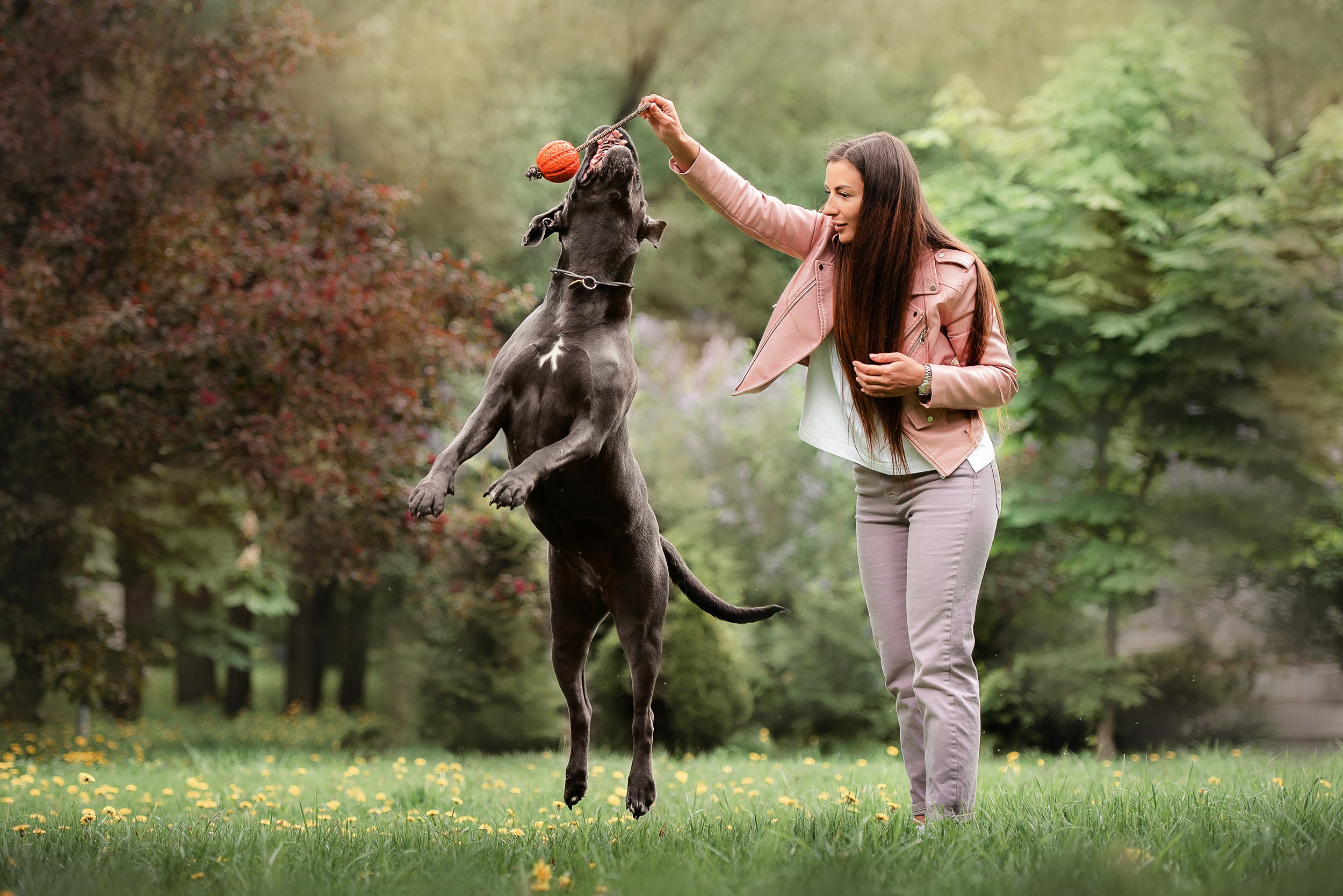 Кристина и Тея. Семейный Фотограф в Москве Ирина Хохлова