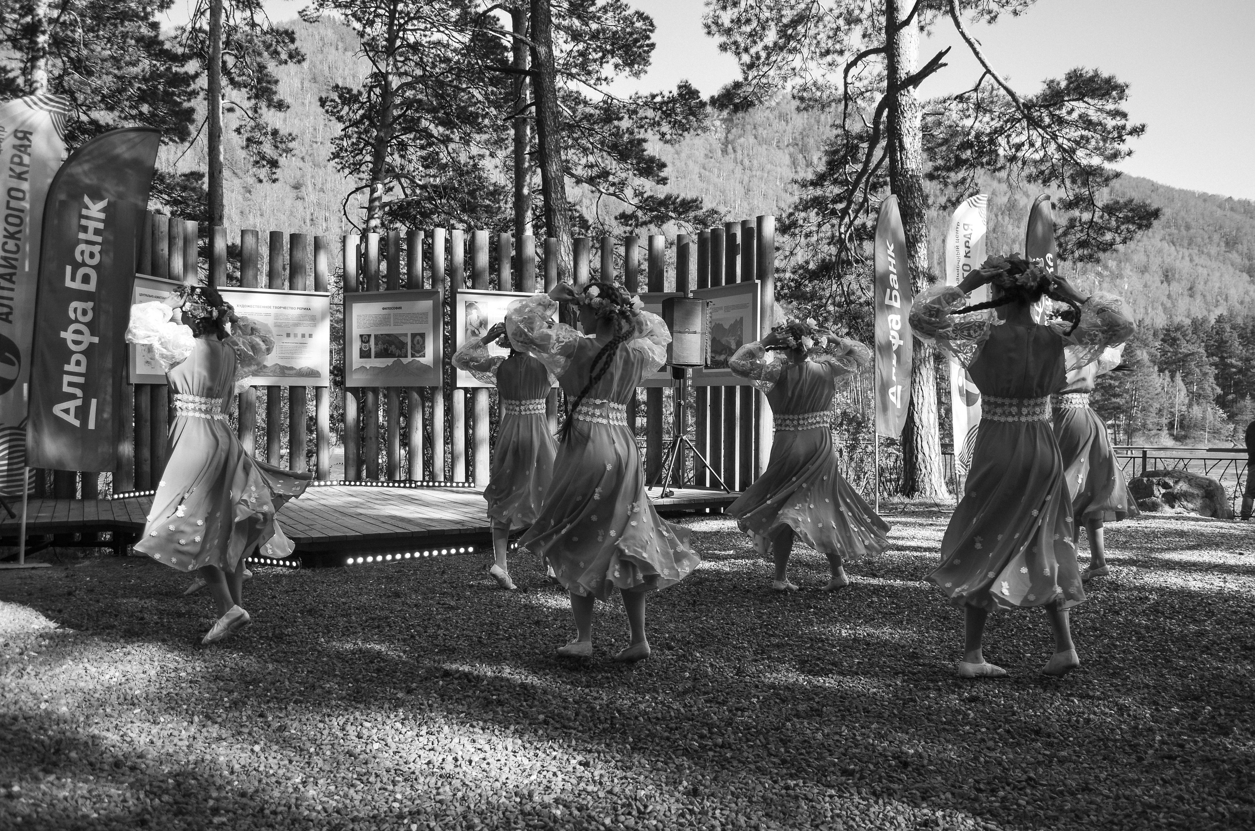 Фестиваль «Цветение Маральника на Алтае 2025». Фоторепортаж. Денисова Аля — фотограф для парных съемок и индивидуальных историй в Барнауле