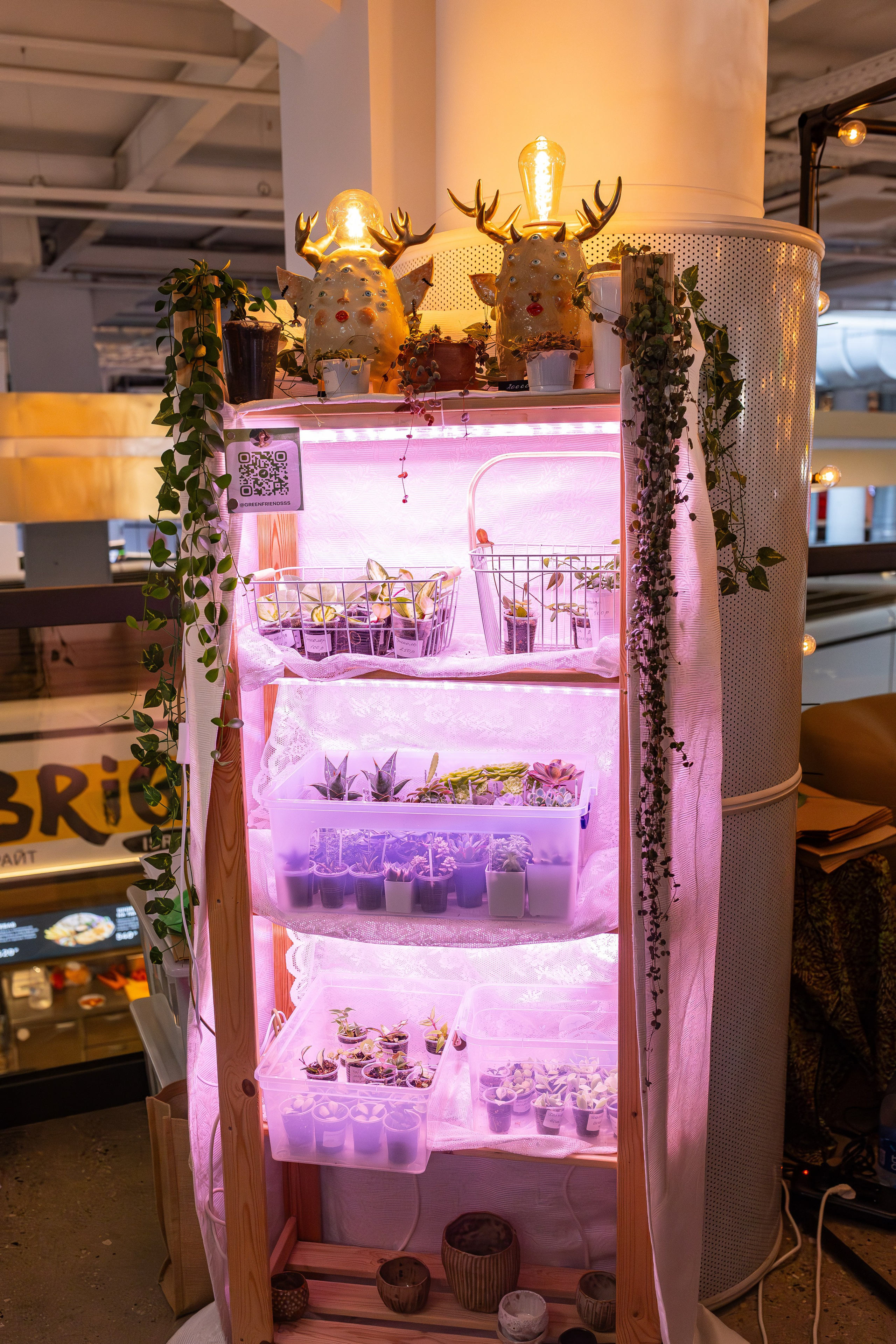 Growbox 5лет. Александра Куликова фотограф, Москва