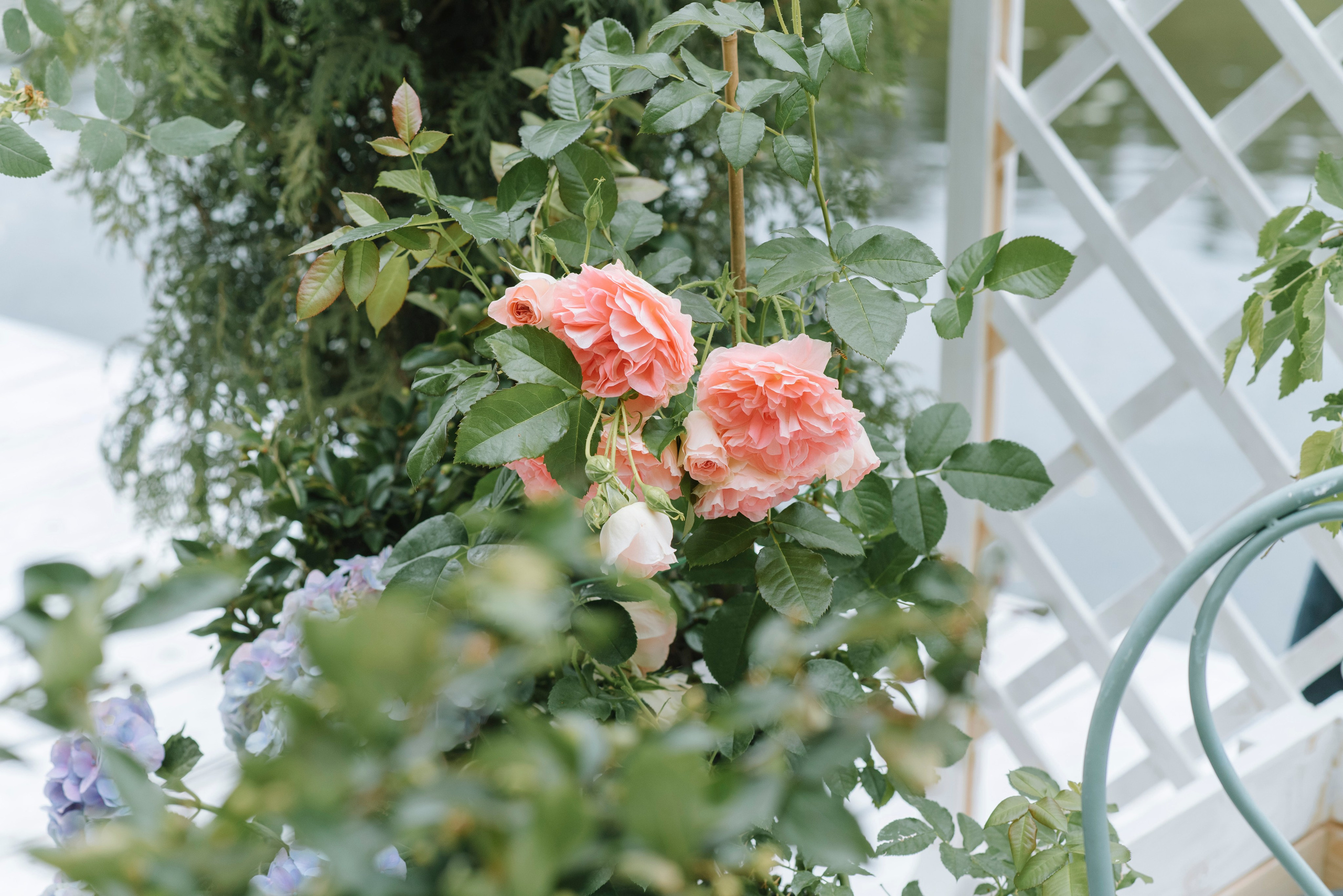 Ресторан Причал. Оформление свадеб, декор свадеб Вера Маркова, Москва