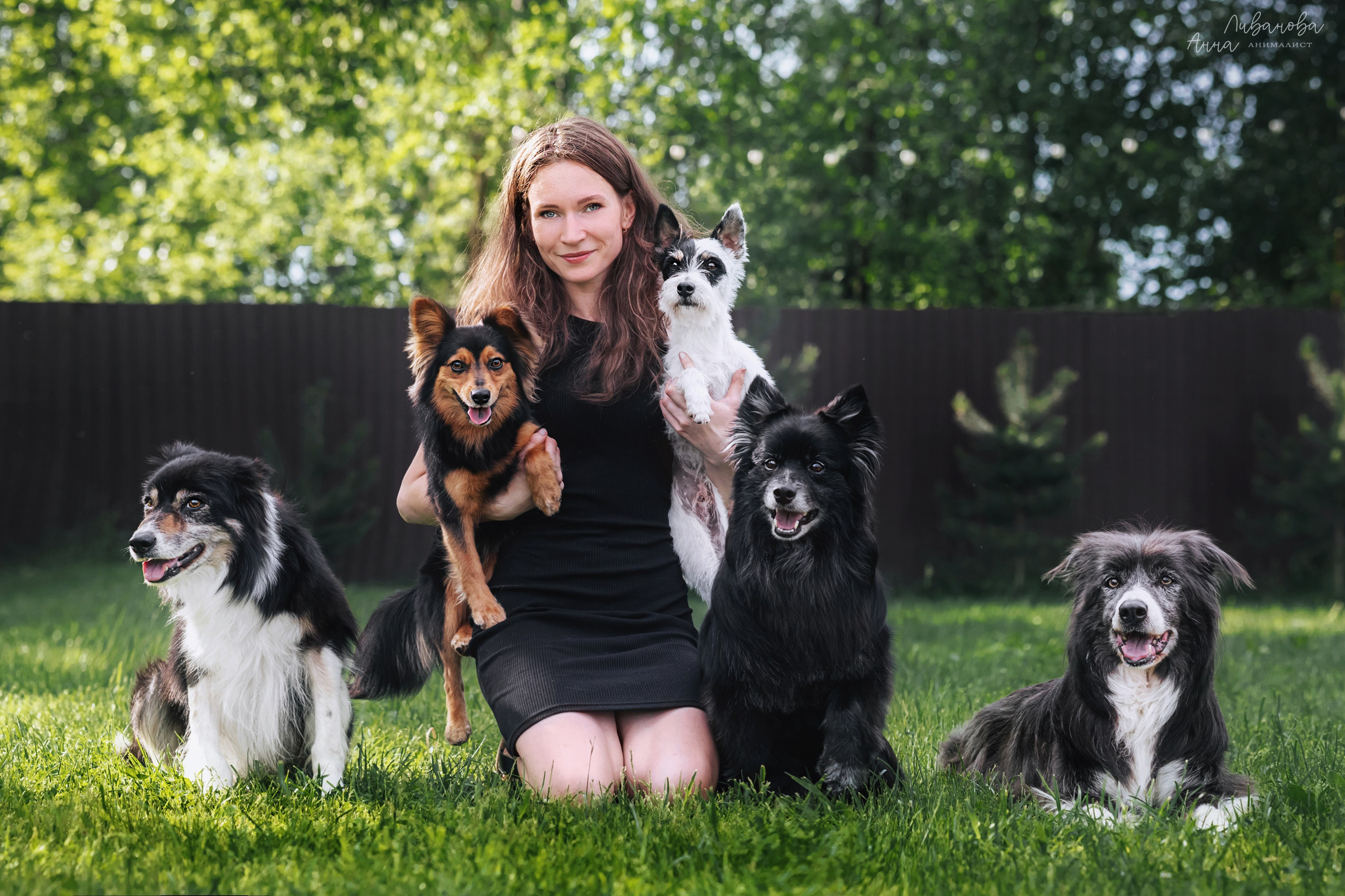 Рита и Ко. Фотограф анималист Аня Ливанова | Рыбинск