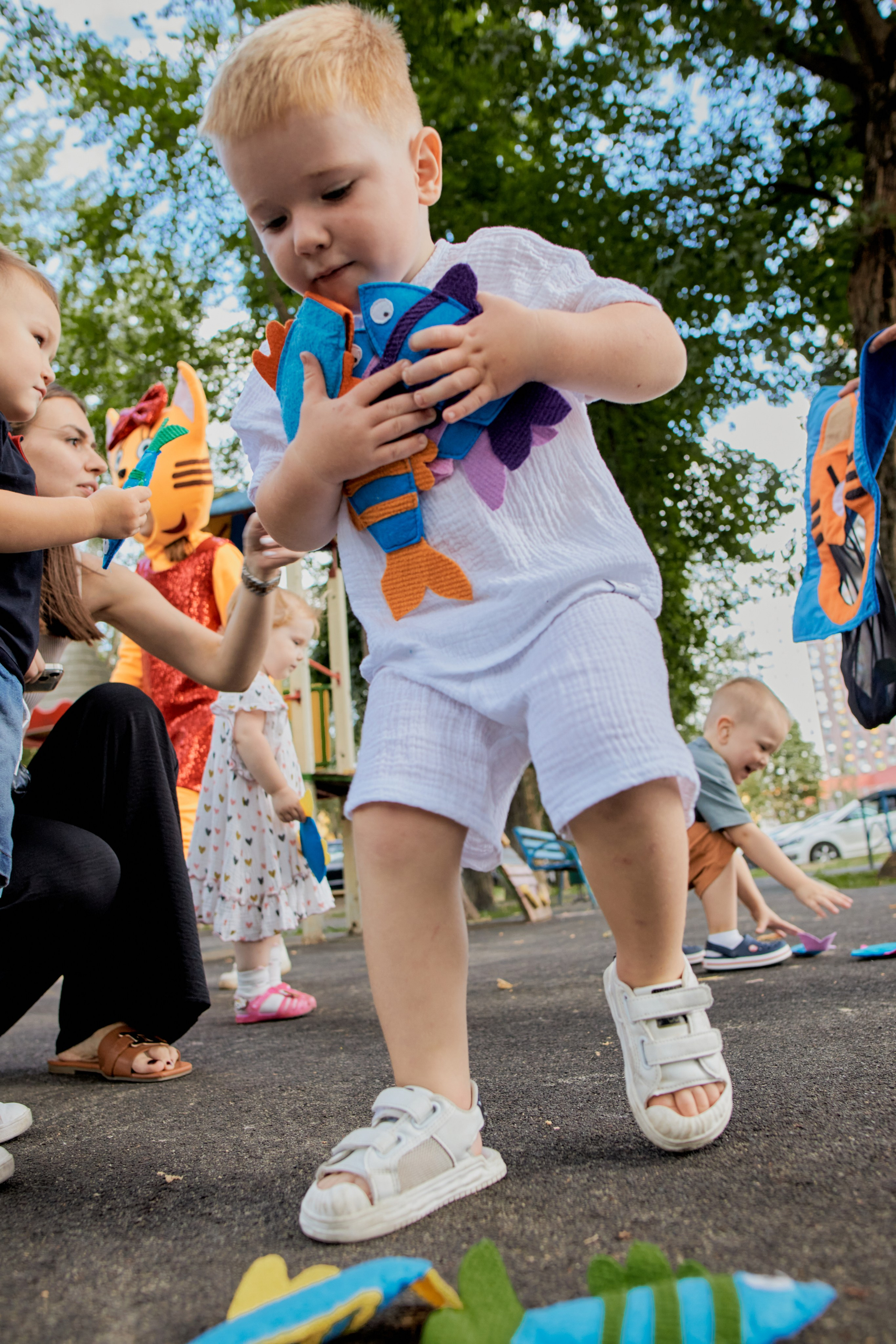 Три кота. Фотограф Москва