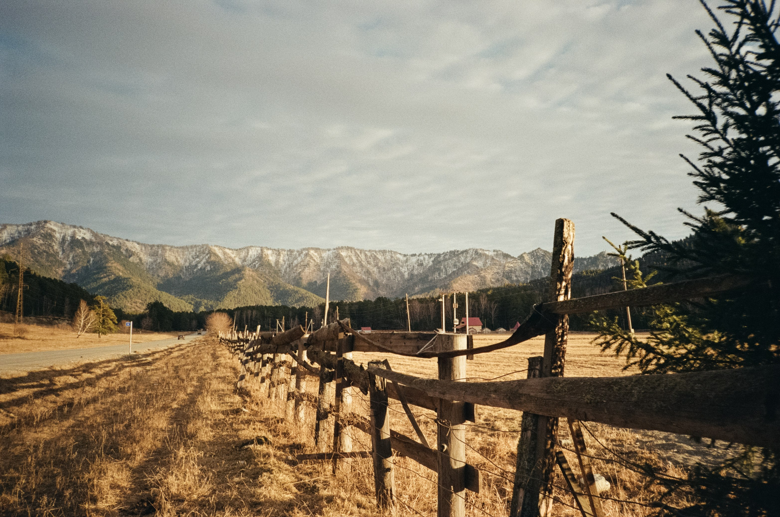 От Кызыл-Таша до Чемала. Техас, горы, поля и коровы. Фотограф-документалист Мария Осокина