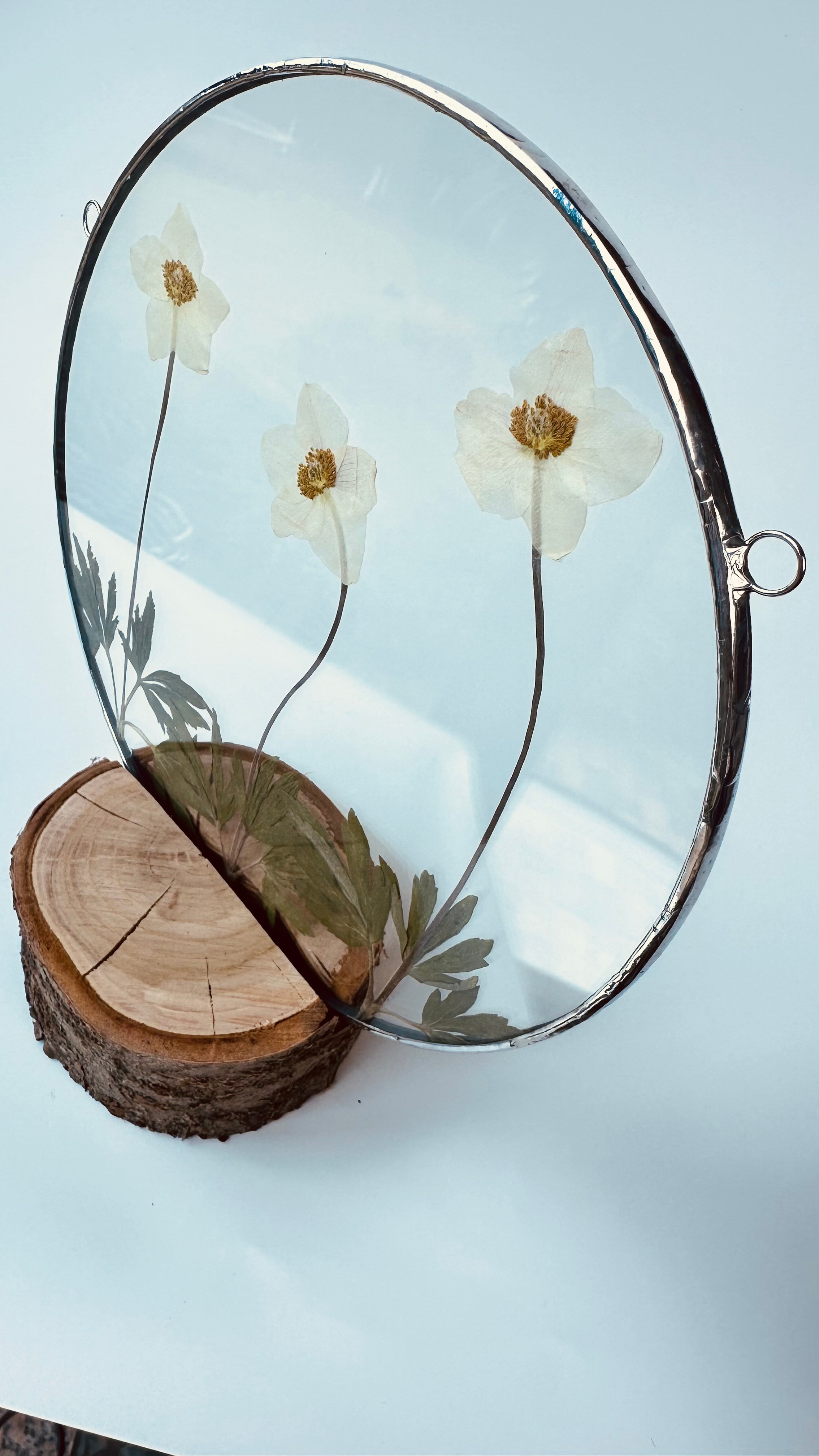 Засушенные цветы в стекле витраж техника тиффани. Гербарий в стекле, интерьерные панно, витражи с сухоцветами в технике тиффани