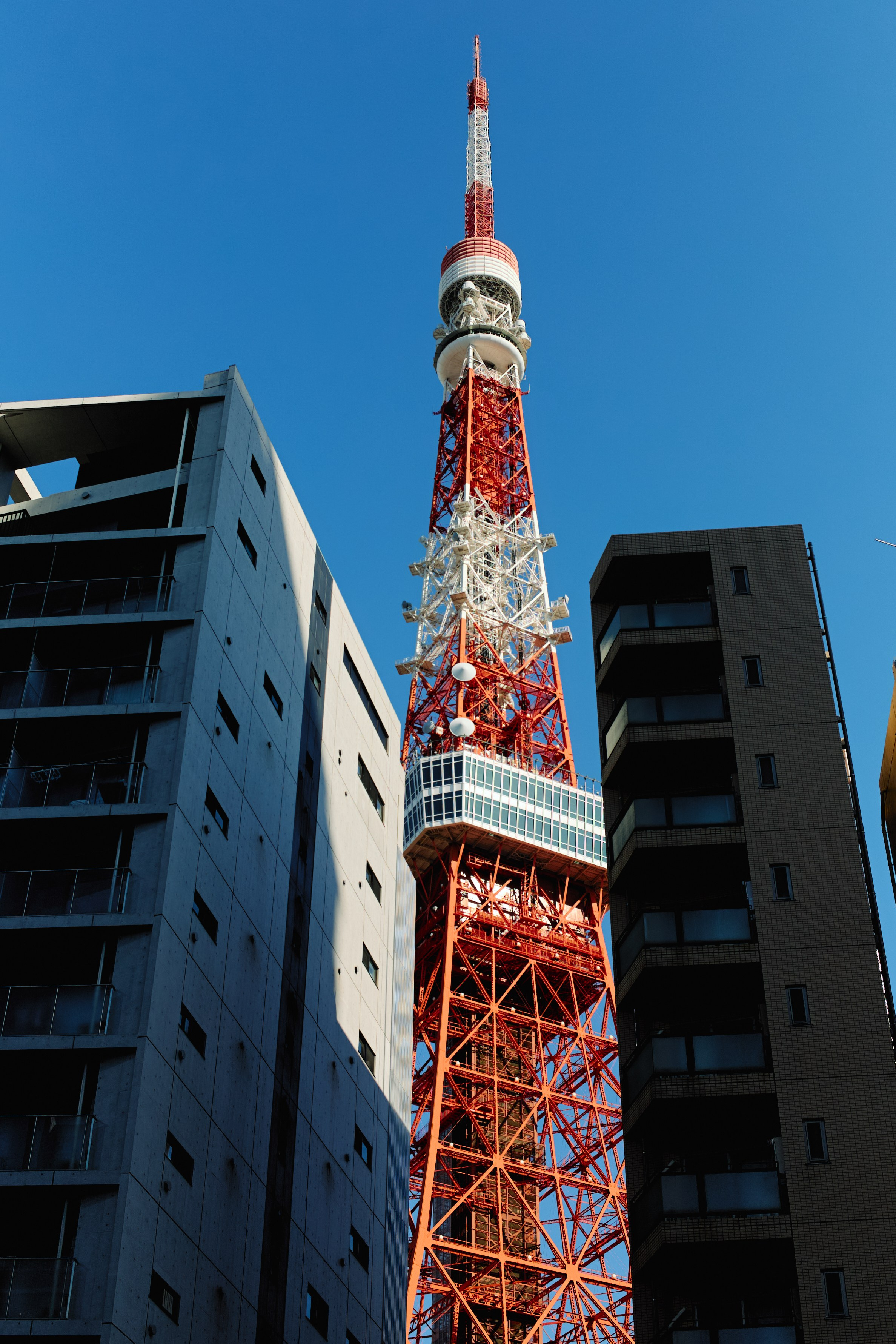 Япония. Профессиональный Фотограф во Владимире, в Москве и в Суздале — Полина Романычева