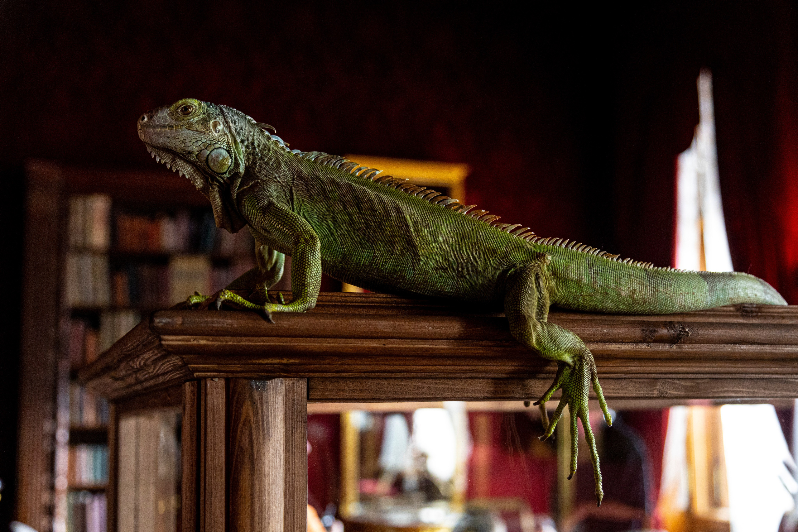 Работа на съёмочной площадке. Фильм «Левша». Фотограф в Санкт-Петербурге Кристина Ильинская