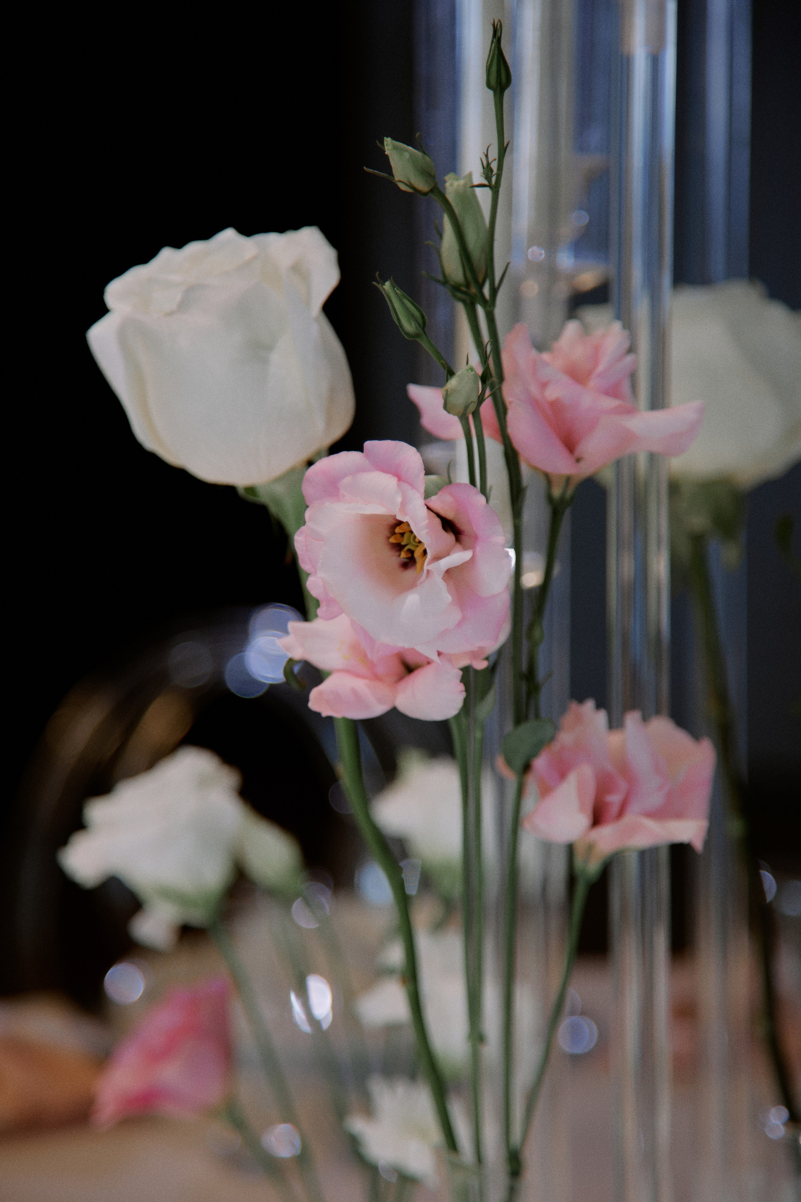 Буду рядом. Фотограф Елена Краснопевцева