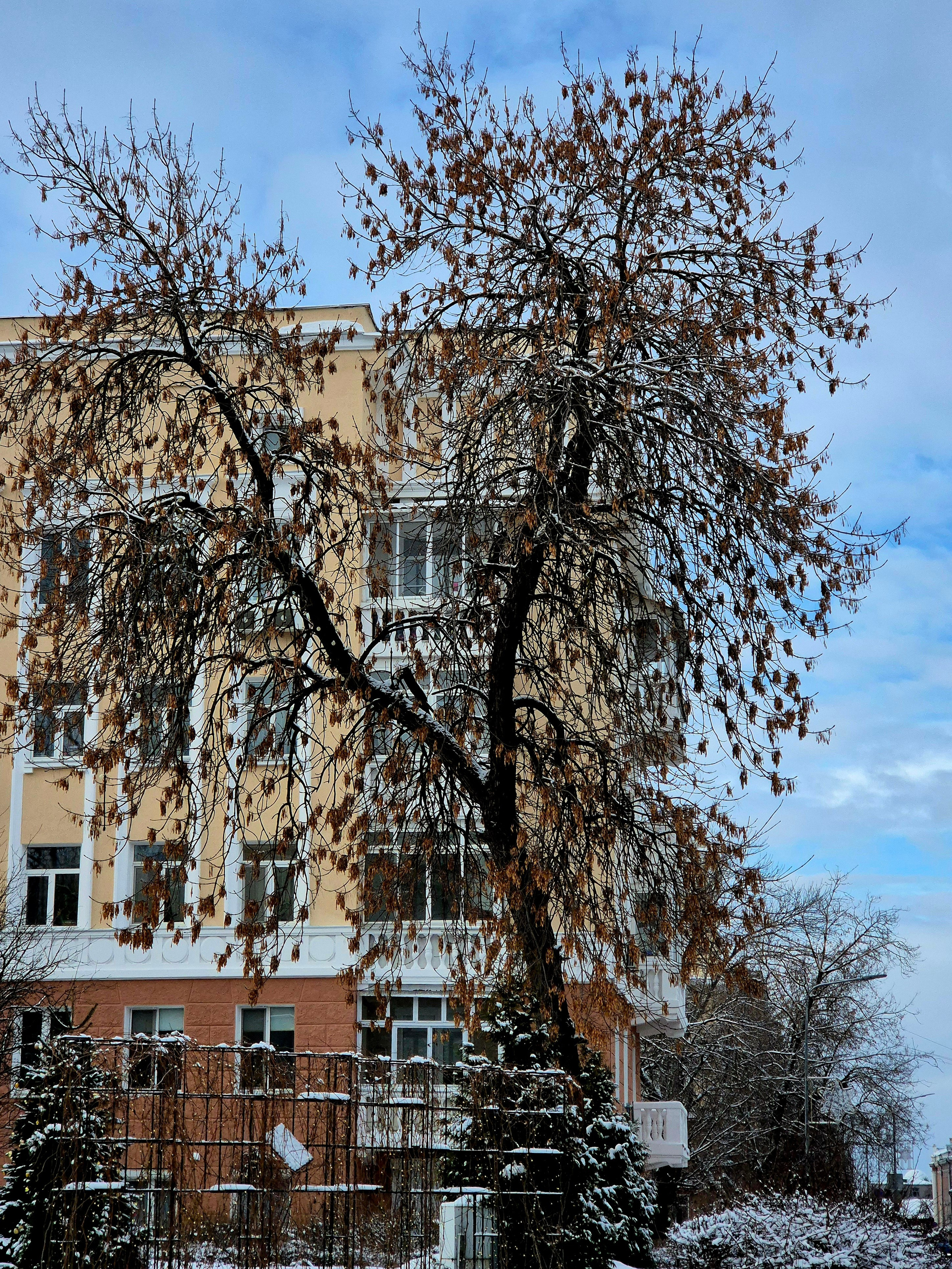 Ул. Минина, жилой дом