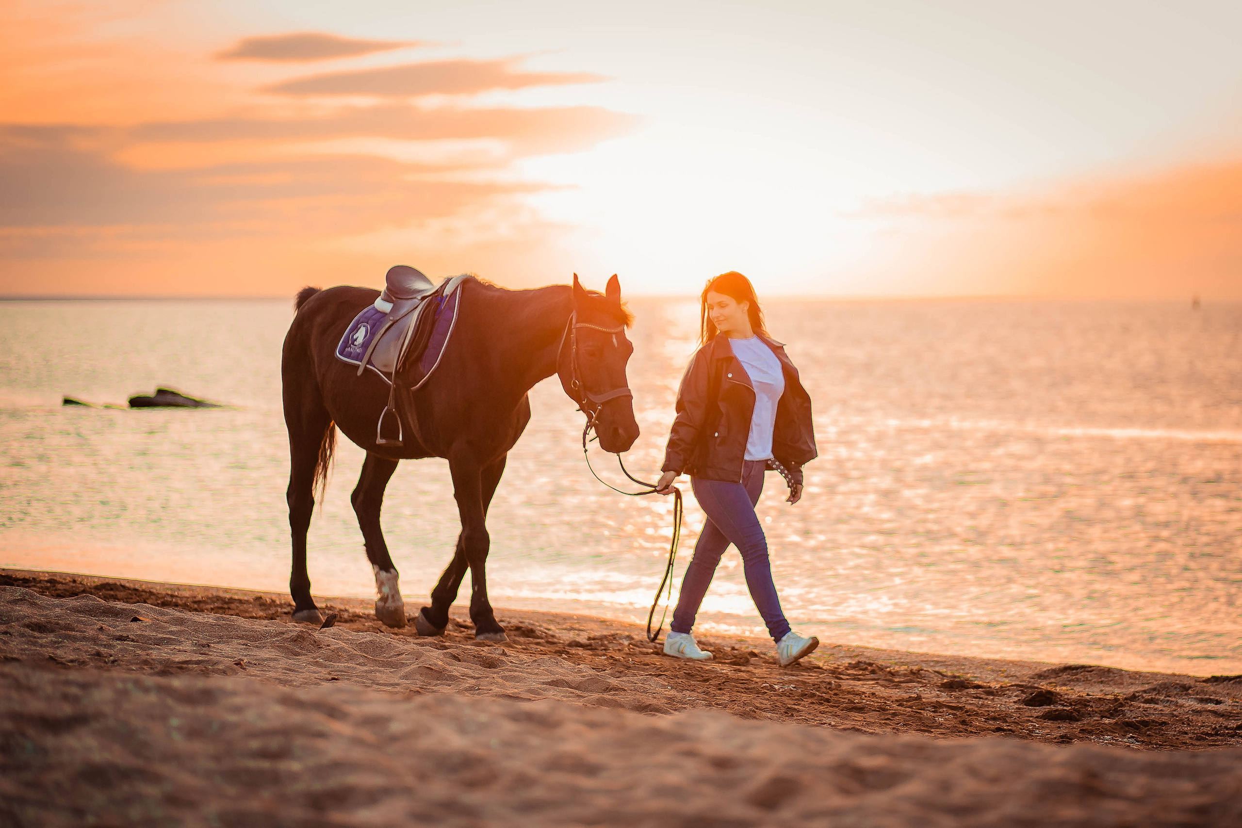 Фотосессия на море с лошадью. Фотограф в Феодосии Наталья Булгакова