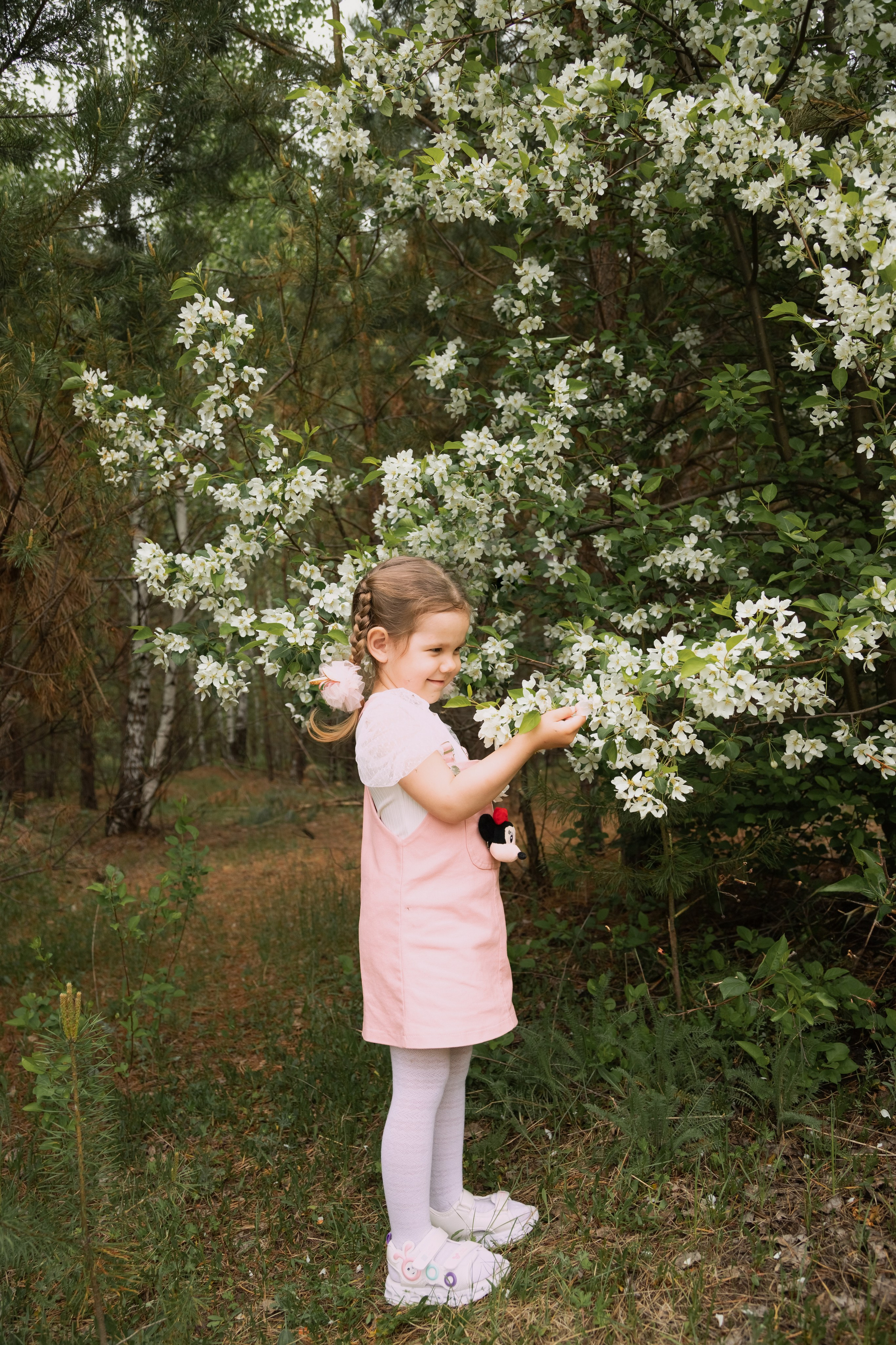 Яблоневый цвет. Фотограф в Томске Евгения Гуляева