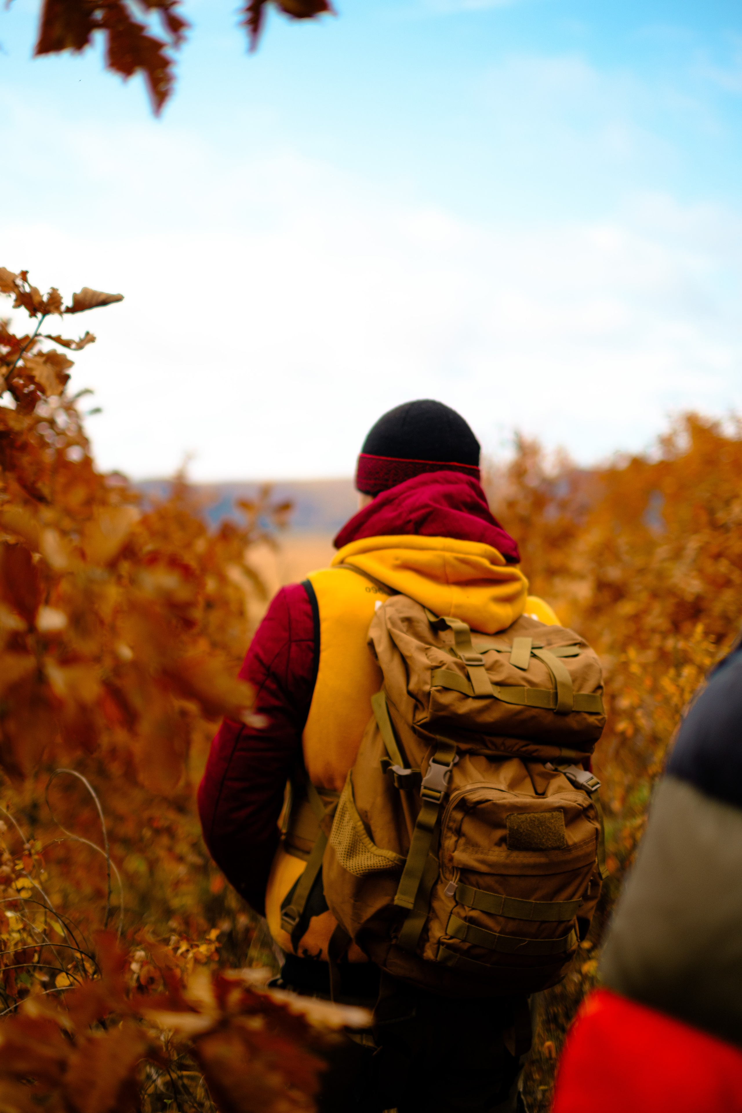 Михайловские столбы осенью. Фотограф Благовещенска Яна