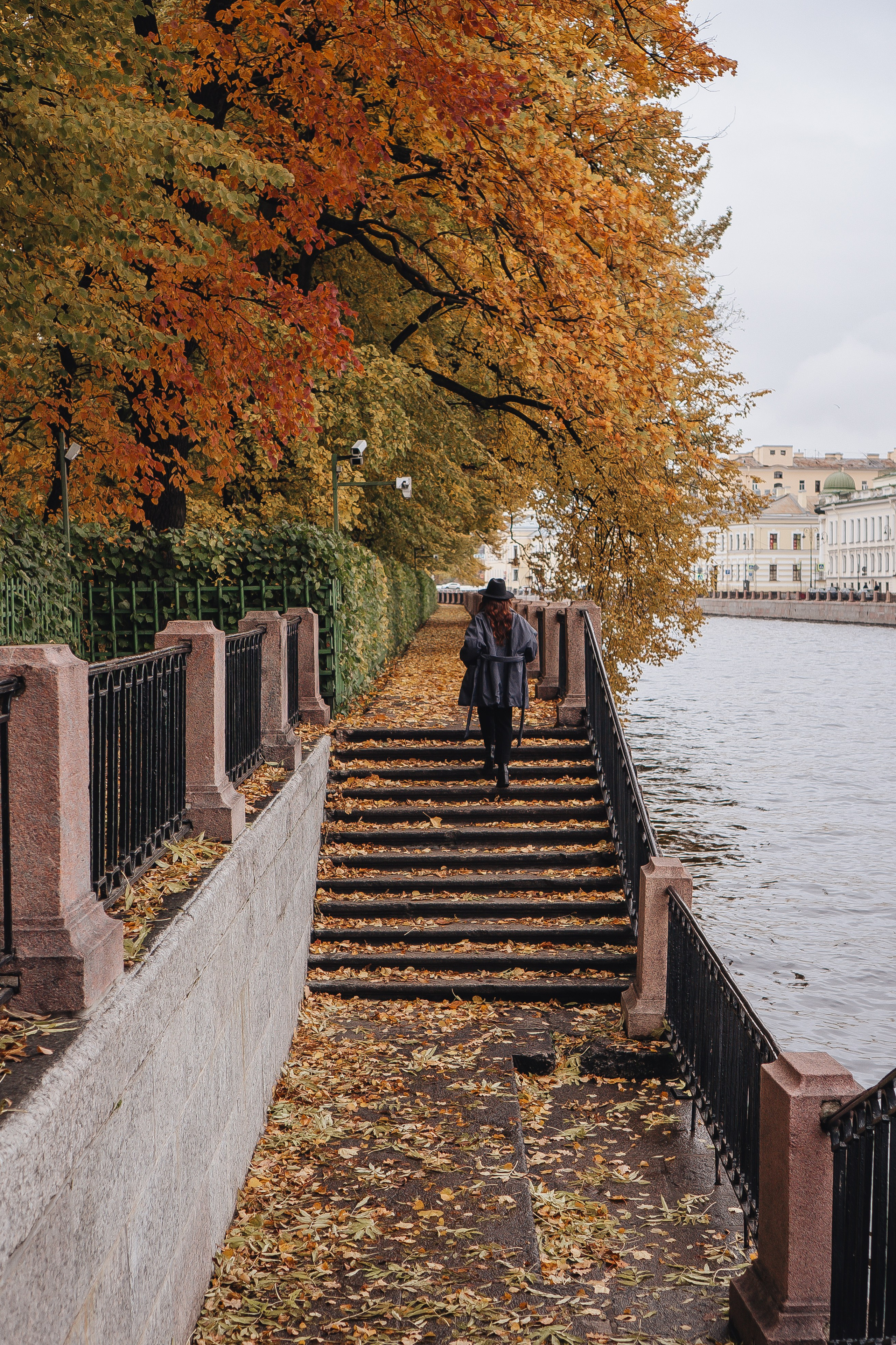 Осень. Профессиональный фотограф, Санкт-Петербург — Виктория Богомолова
