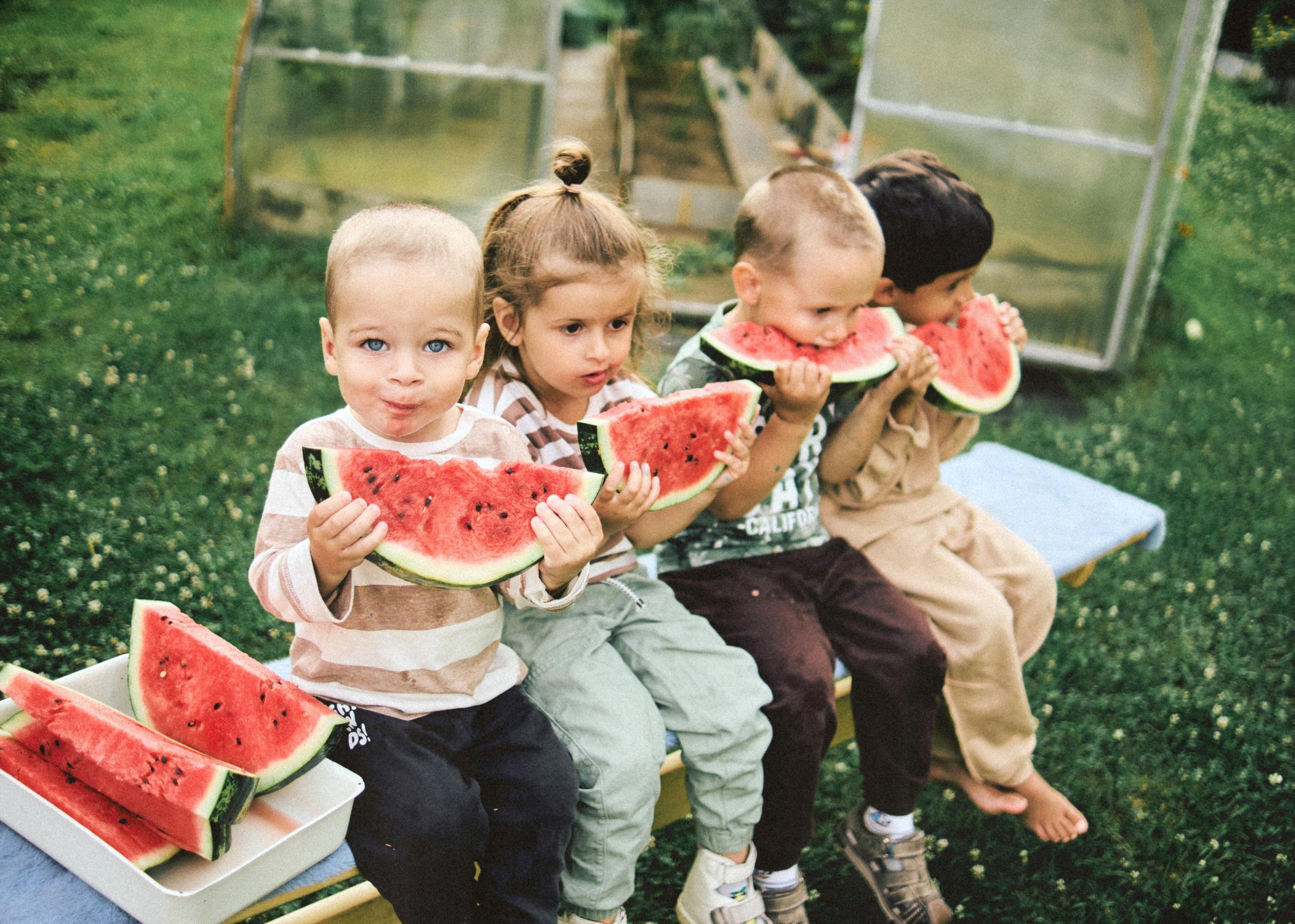 Банда. SHILOVA PHOTO. Шилова Екатерина. Фотограф. Москва