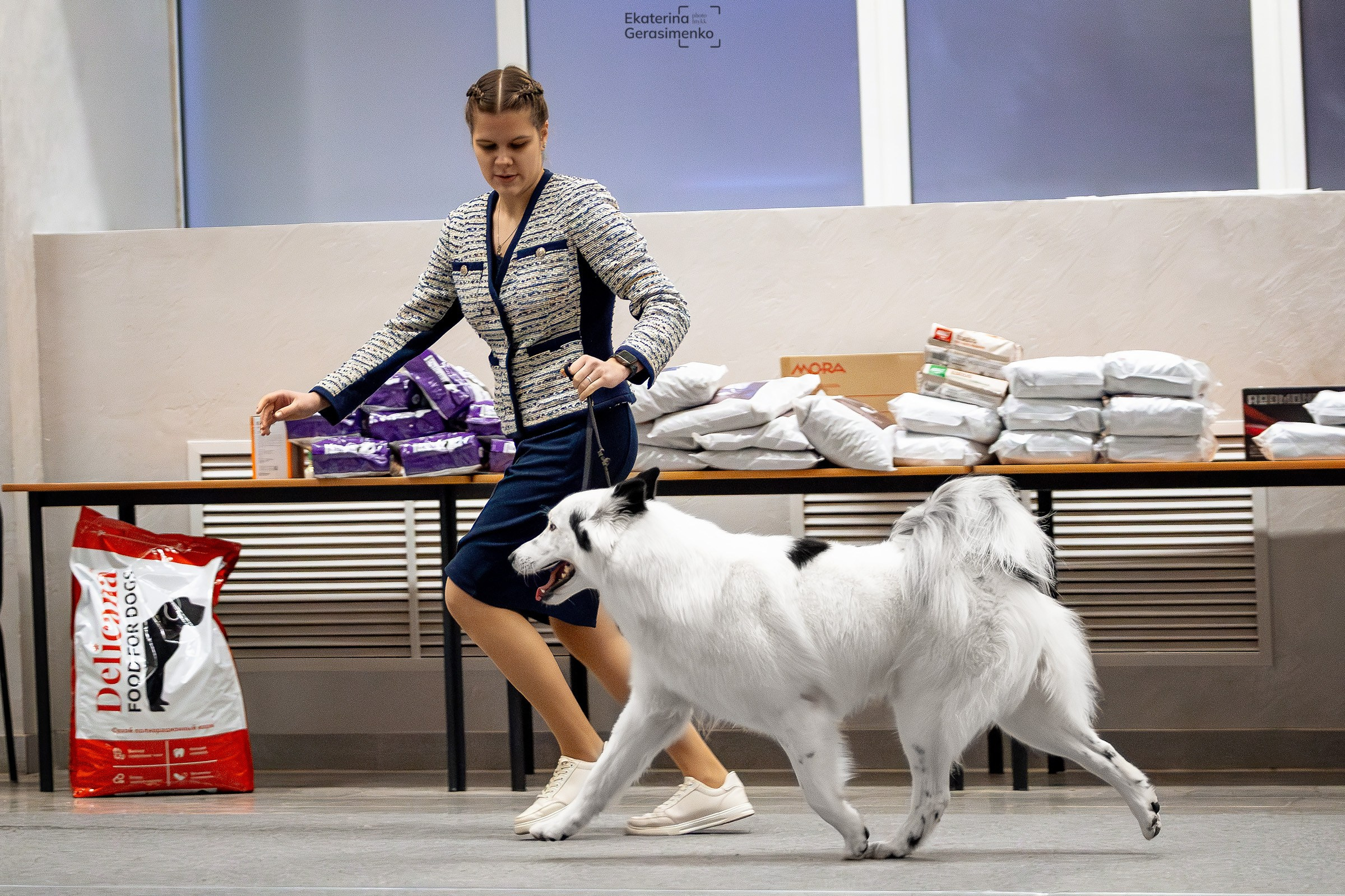 18 января 2025, Выставка РКФ, г. Пермь. Htykk_photo