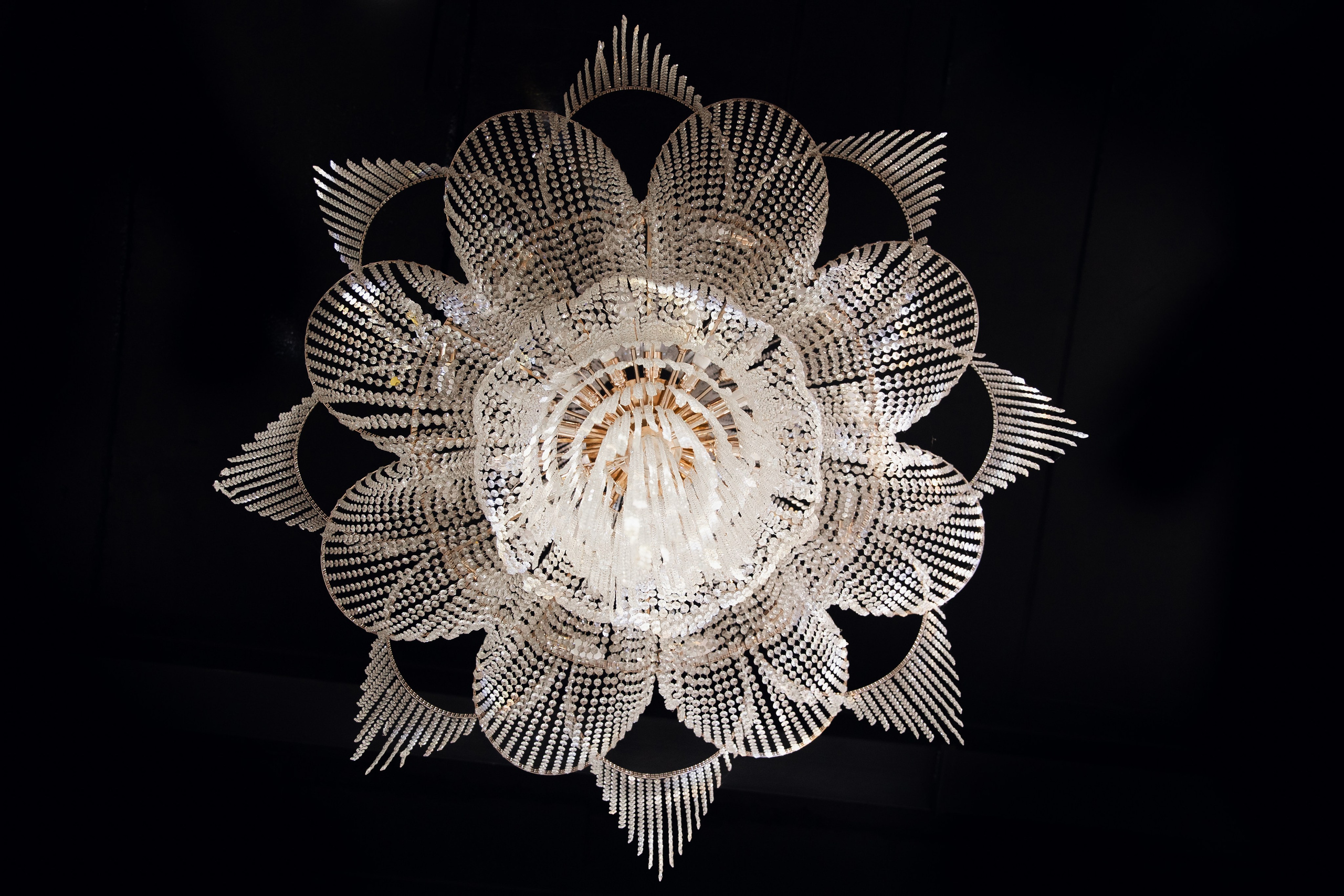 Яков и Елена 12.10.24. Фотограф — Погодина Екатерина