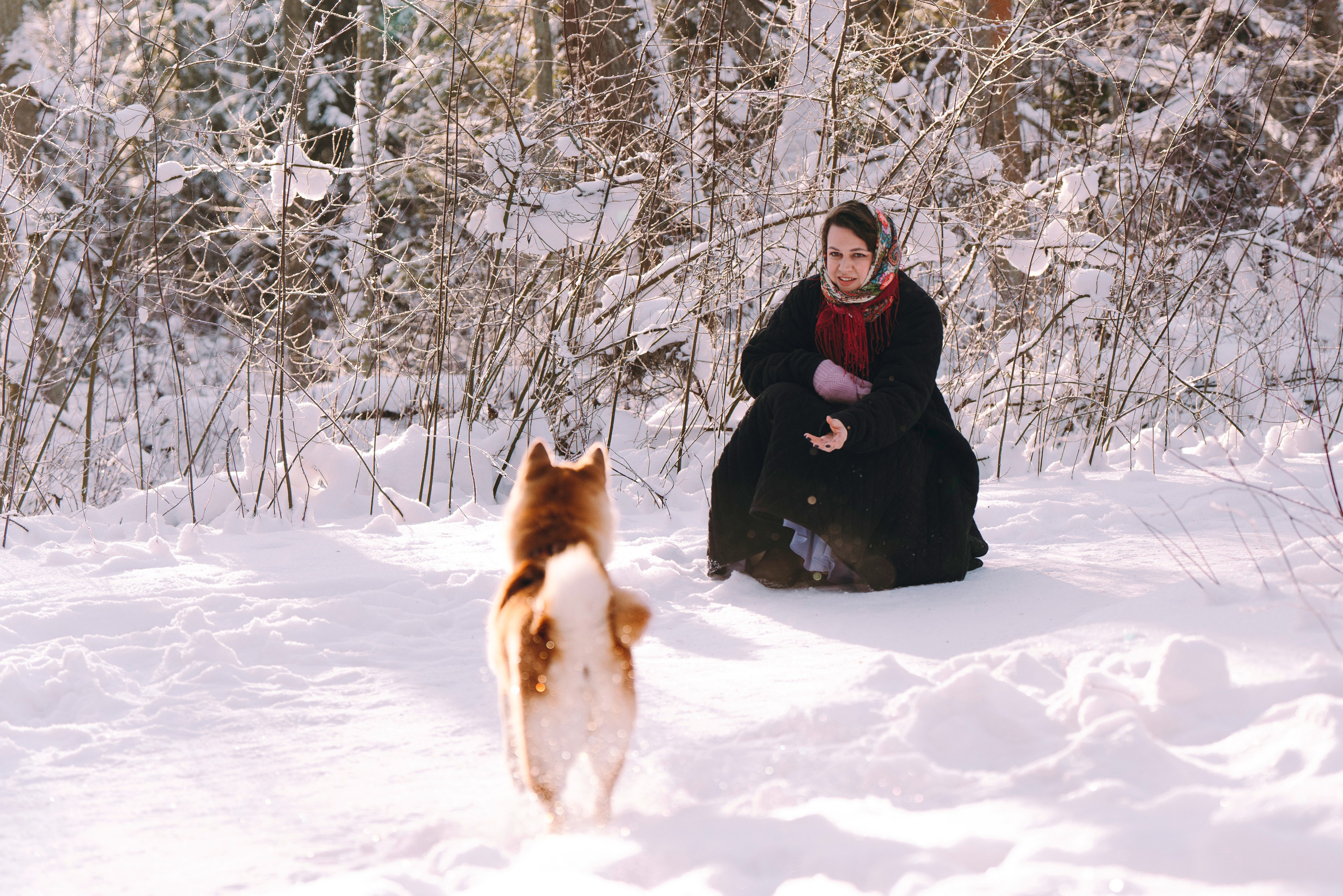 Каори, Анна и Антон. Фотограф анималист в Спб недорого Олеся Майорова