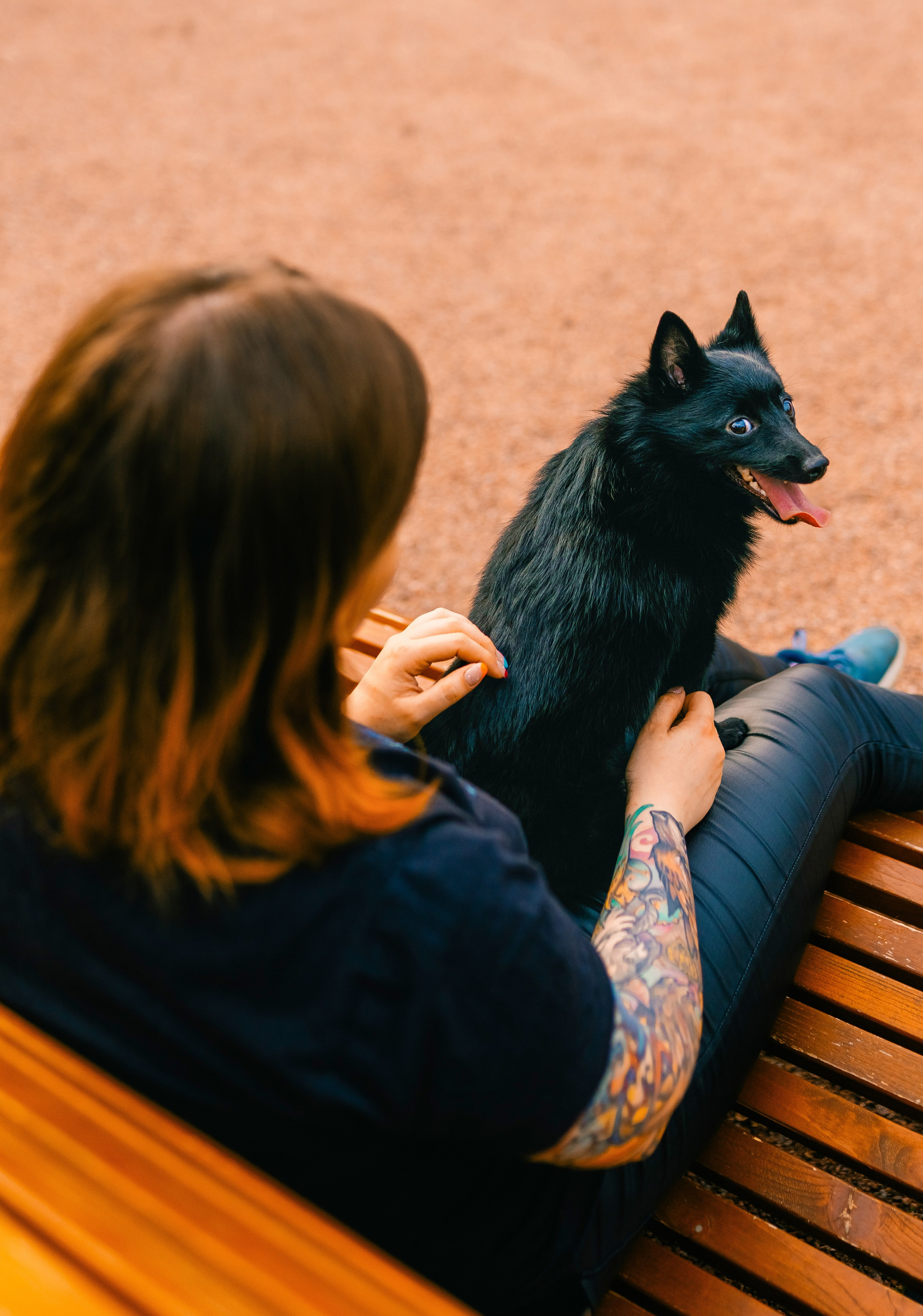 Аня и Тесс. Фотограф анималист в Спб недорого Олеся Майорова