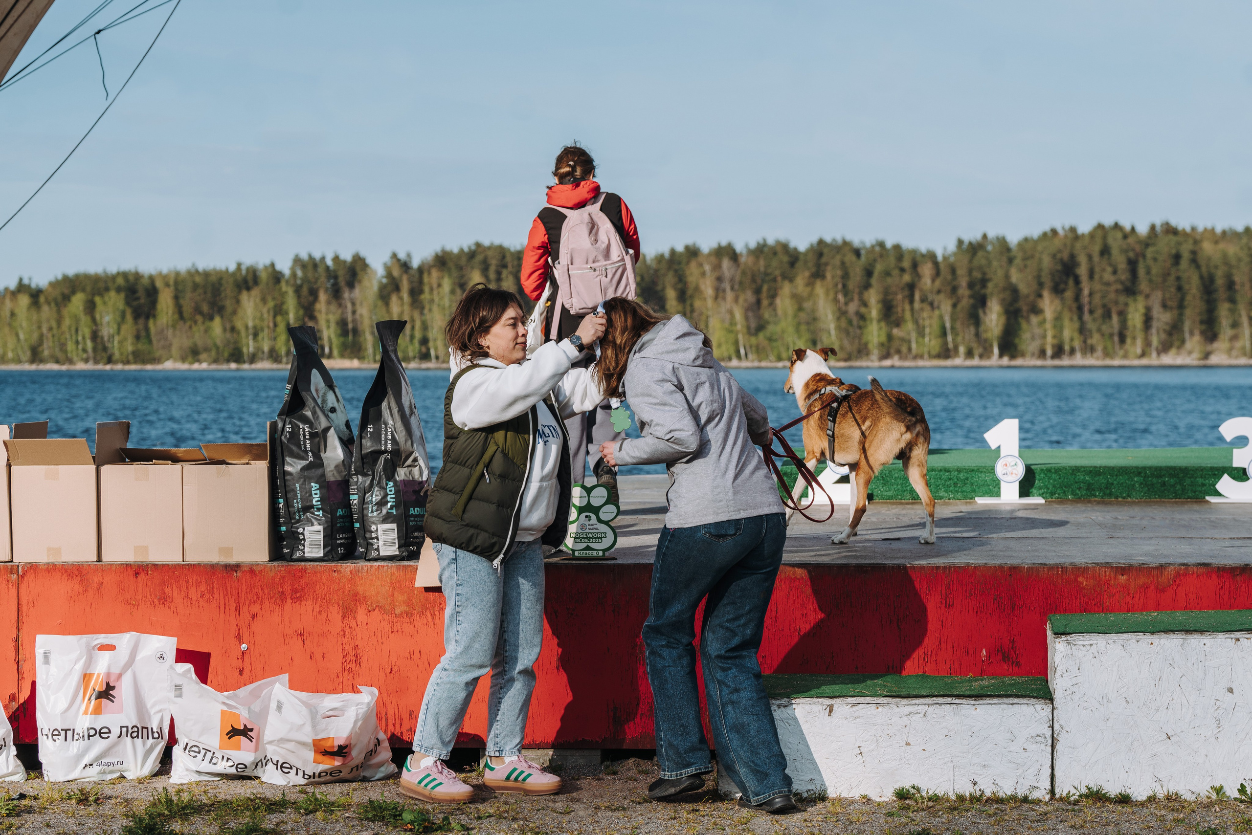 Соревнования по ноузворку в Лосево. Фотограф анималист в Спб недорого Олеся Майорова