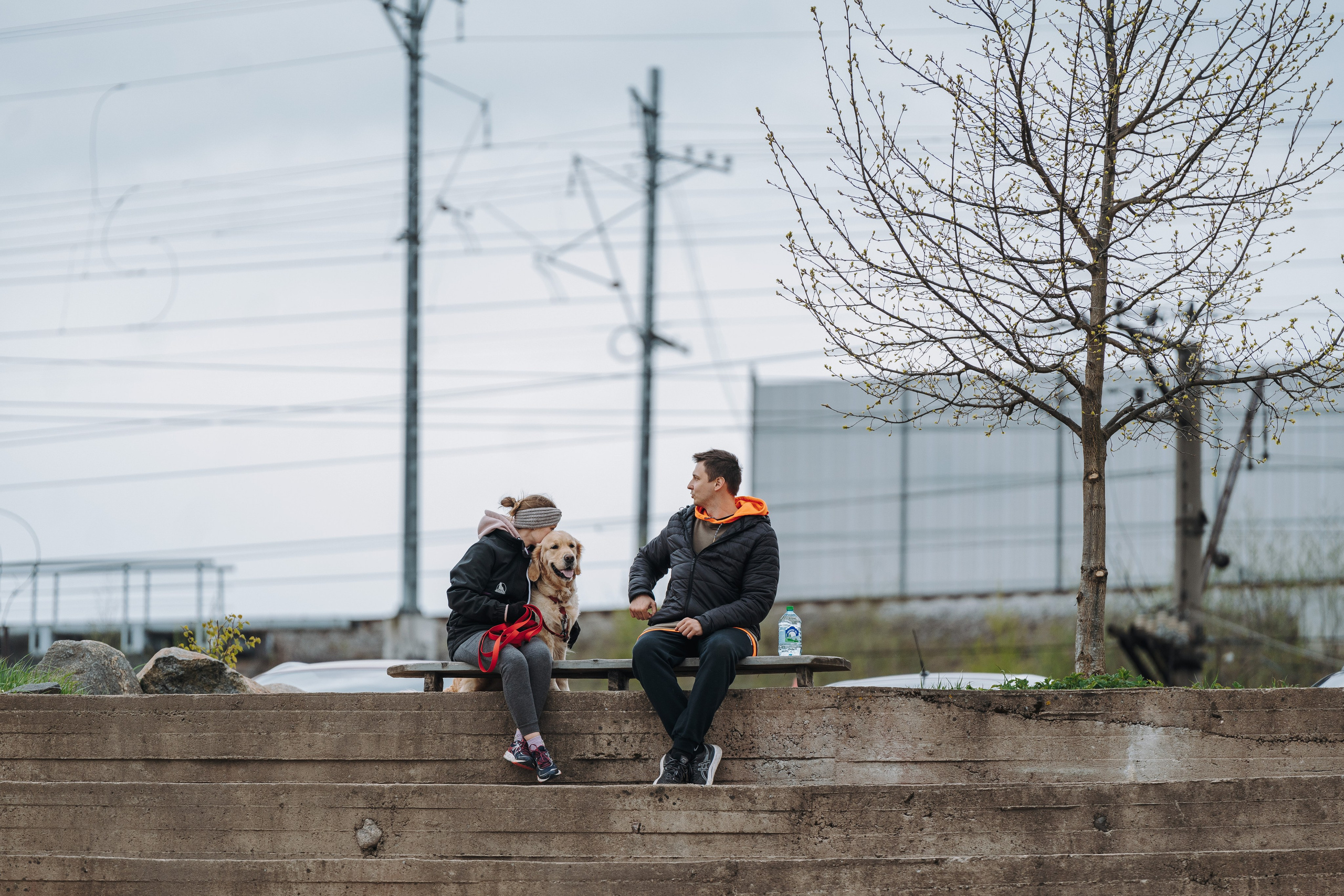 Соревнования по ноузворку в Лосево. Фотограф анималист в Спб недорого Олеся Майорова