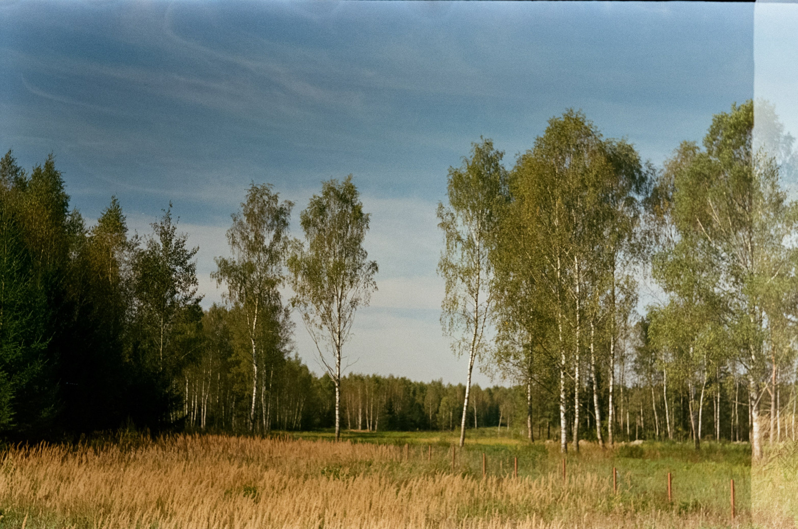 Edixa-MAT REFLEX Mod.D | Carl Zeiss Jena Biotar 58 mm f2 T | SFL 250D