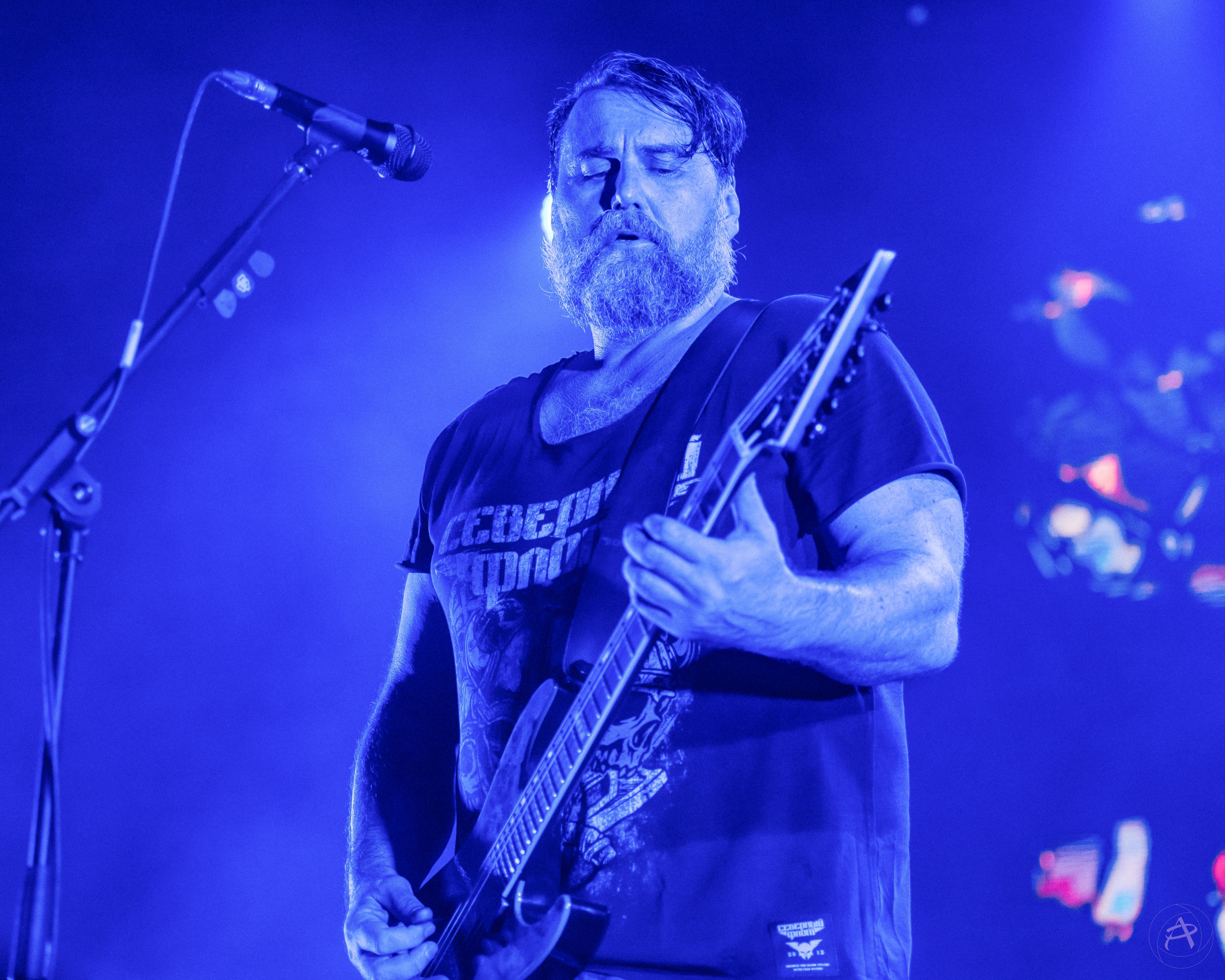 Северный Флот. Atmosphere. Концертный фотограф Аля Рашпиль