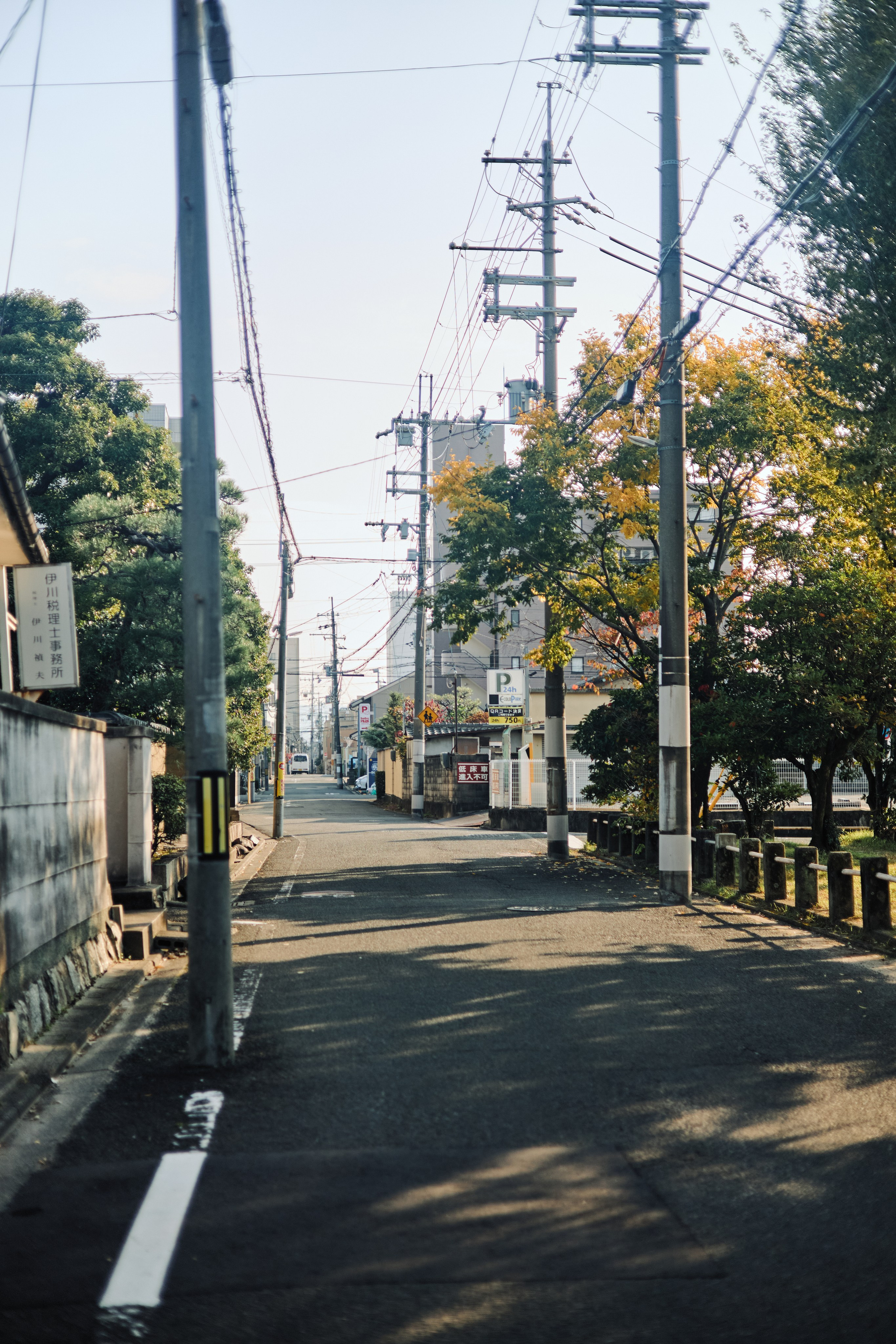 Япония. Профессиональный Фотограф во Владимире, в Москве и в Суздале — Полина Романычева
