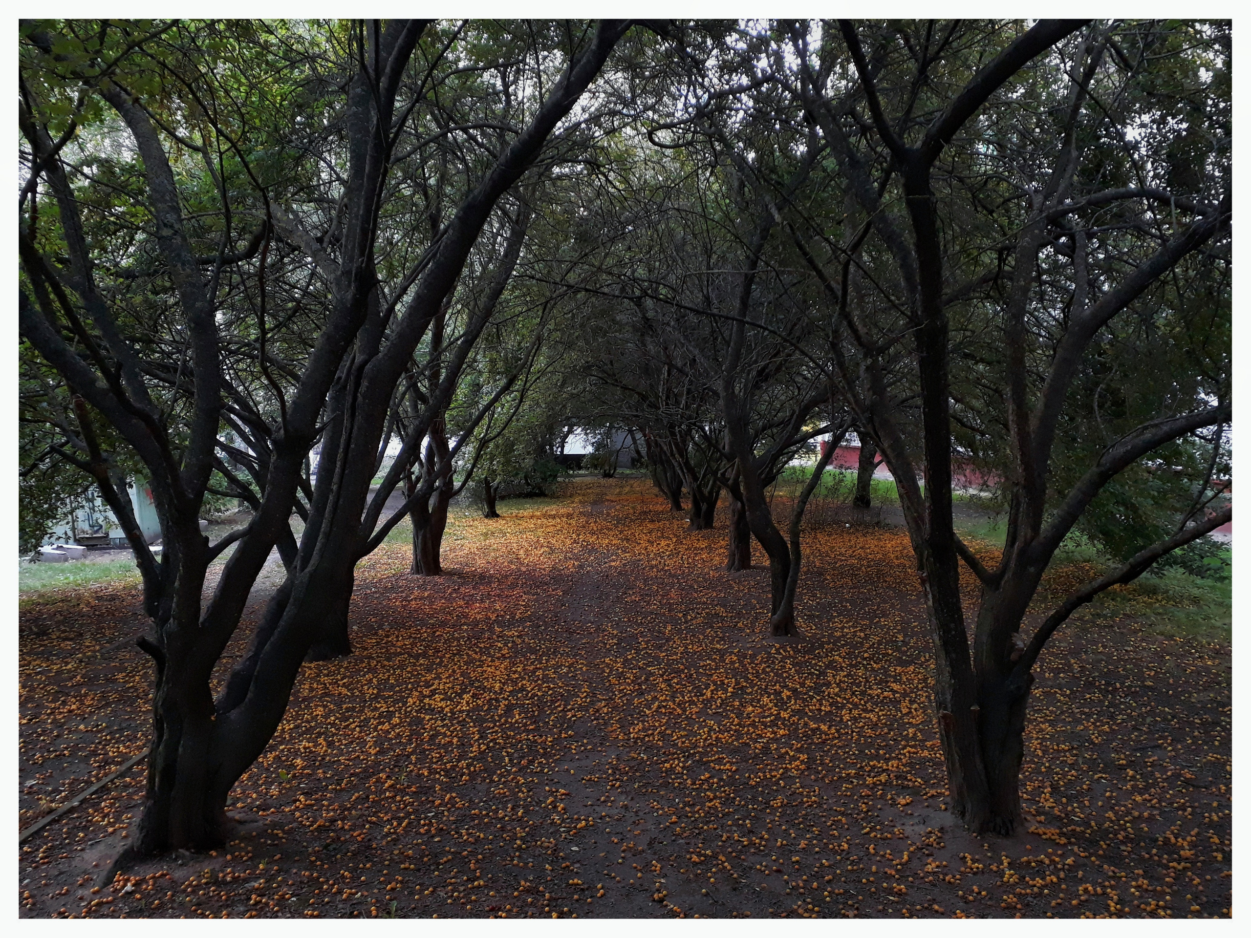 Belarus. Künstler Verstecktoff