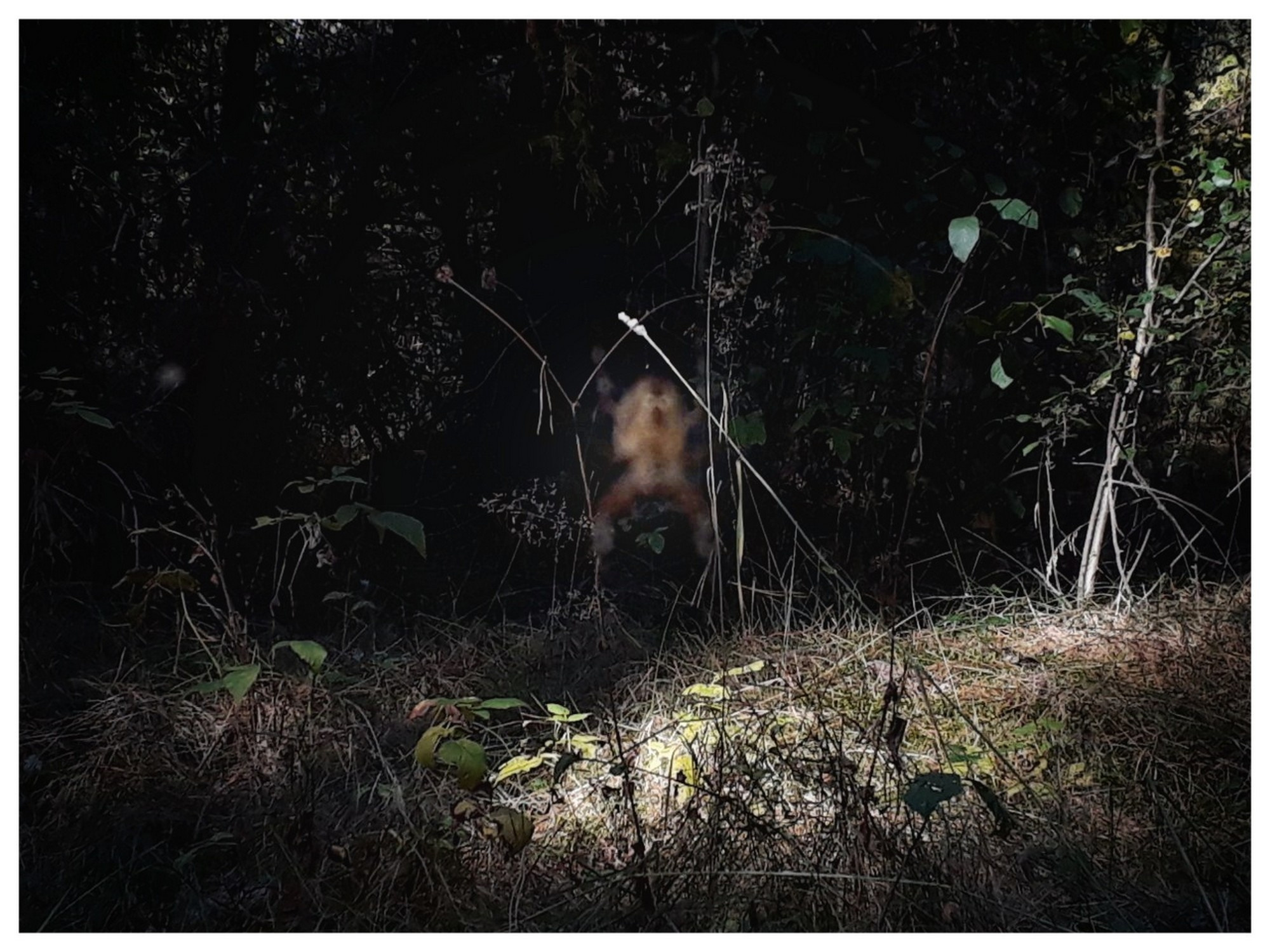 Belarus. Künstler Verstecktoff