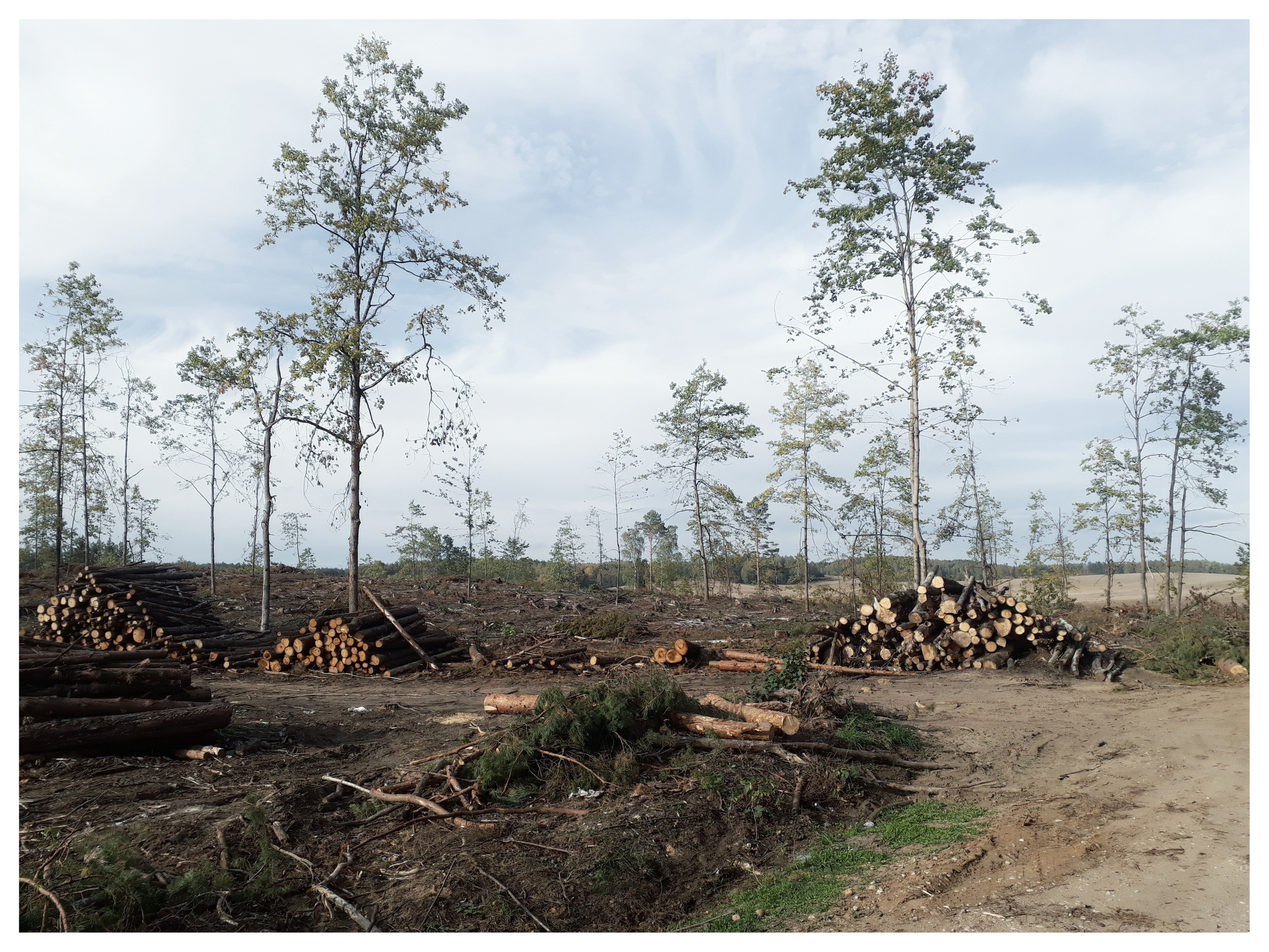 Belarus. Künstler Verstecktoff