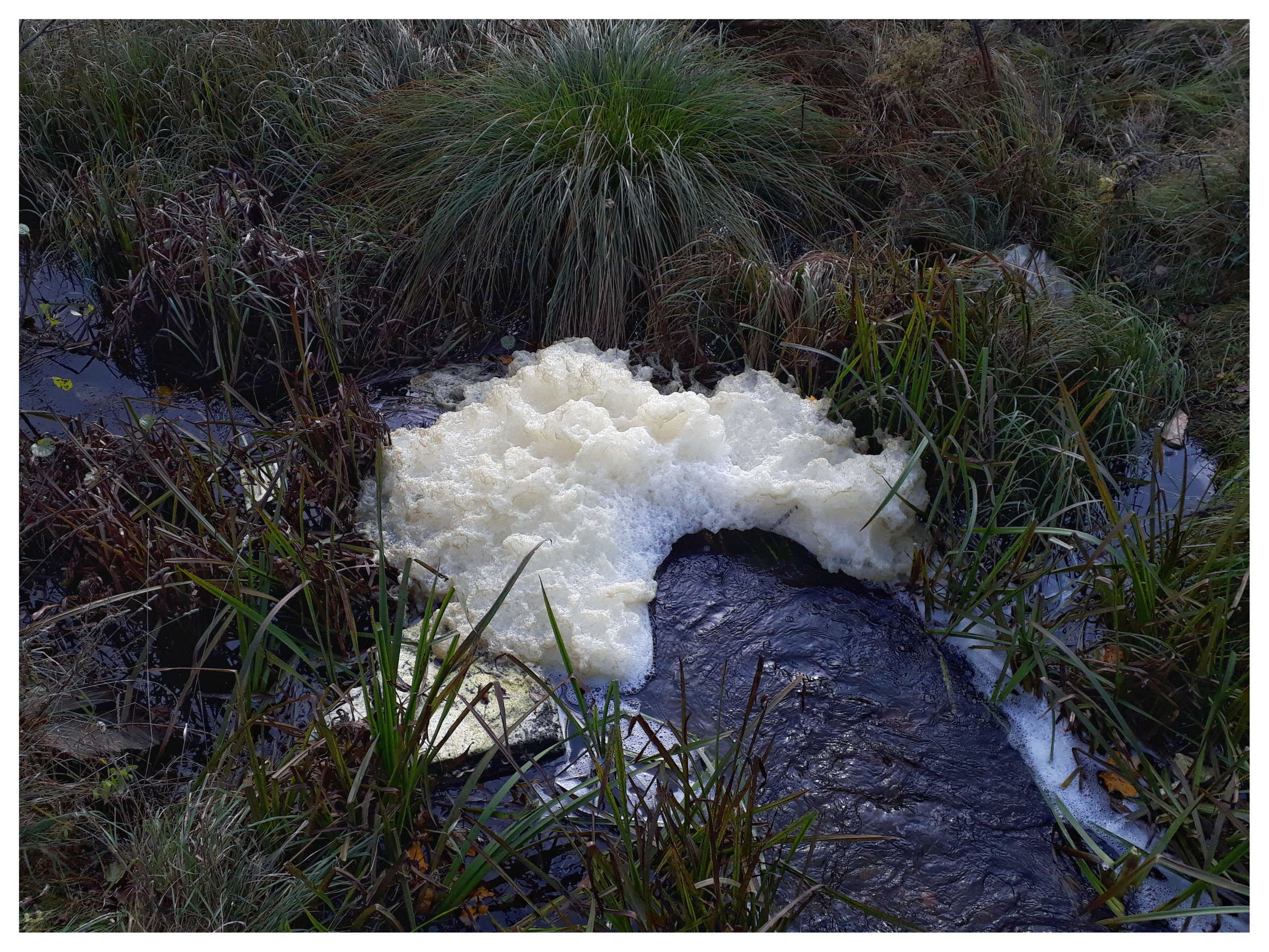 Belarus. Künstler Verstecktoff
