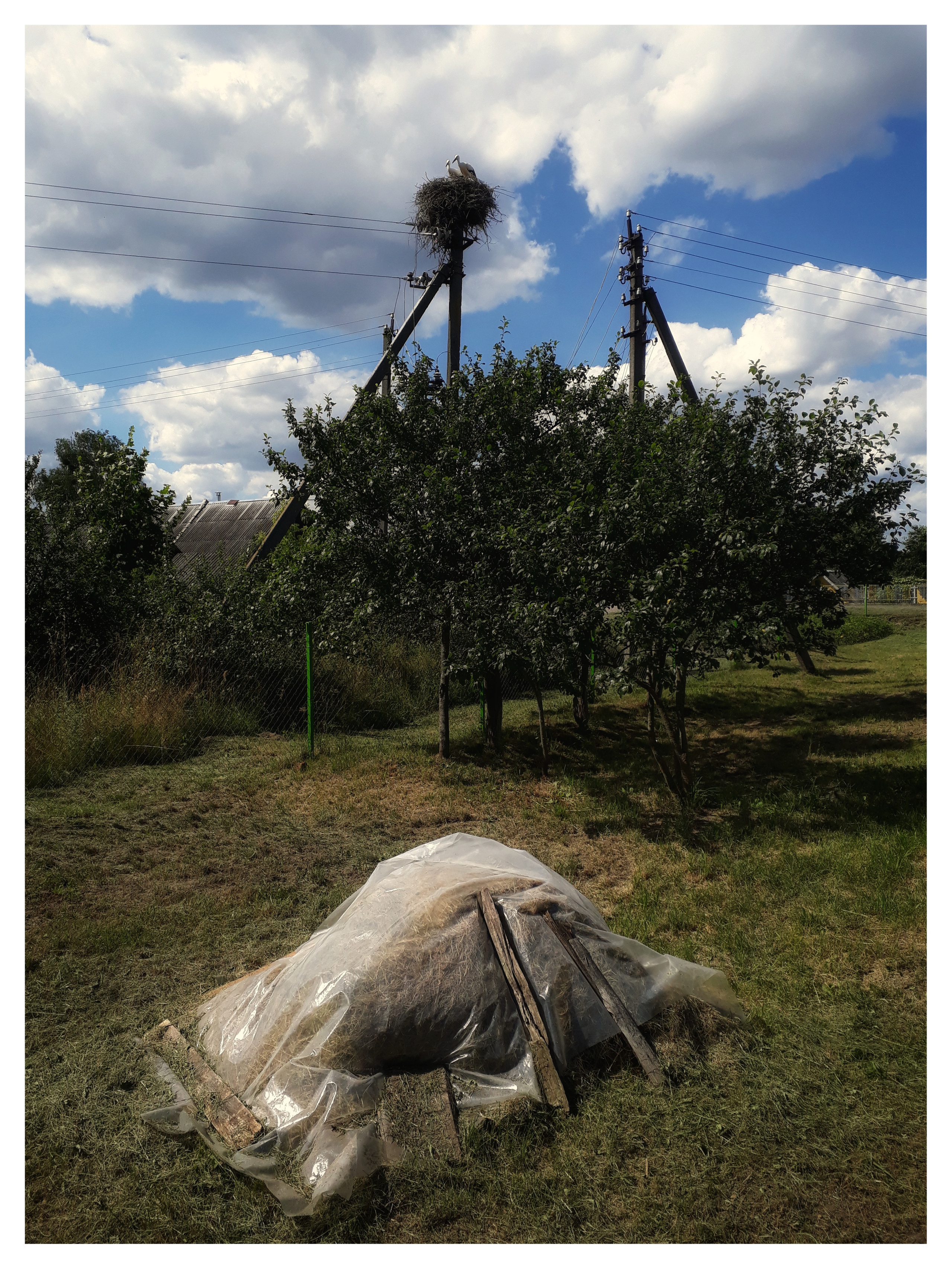 Belarus. Künstler Verstecktoff