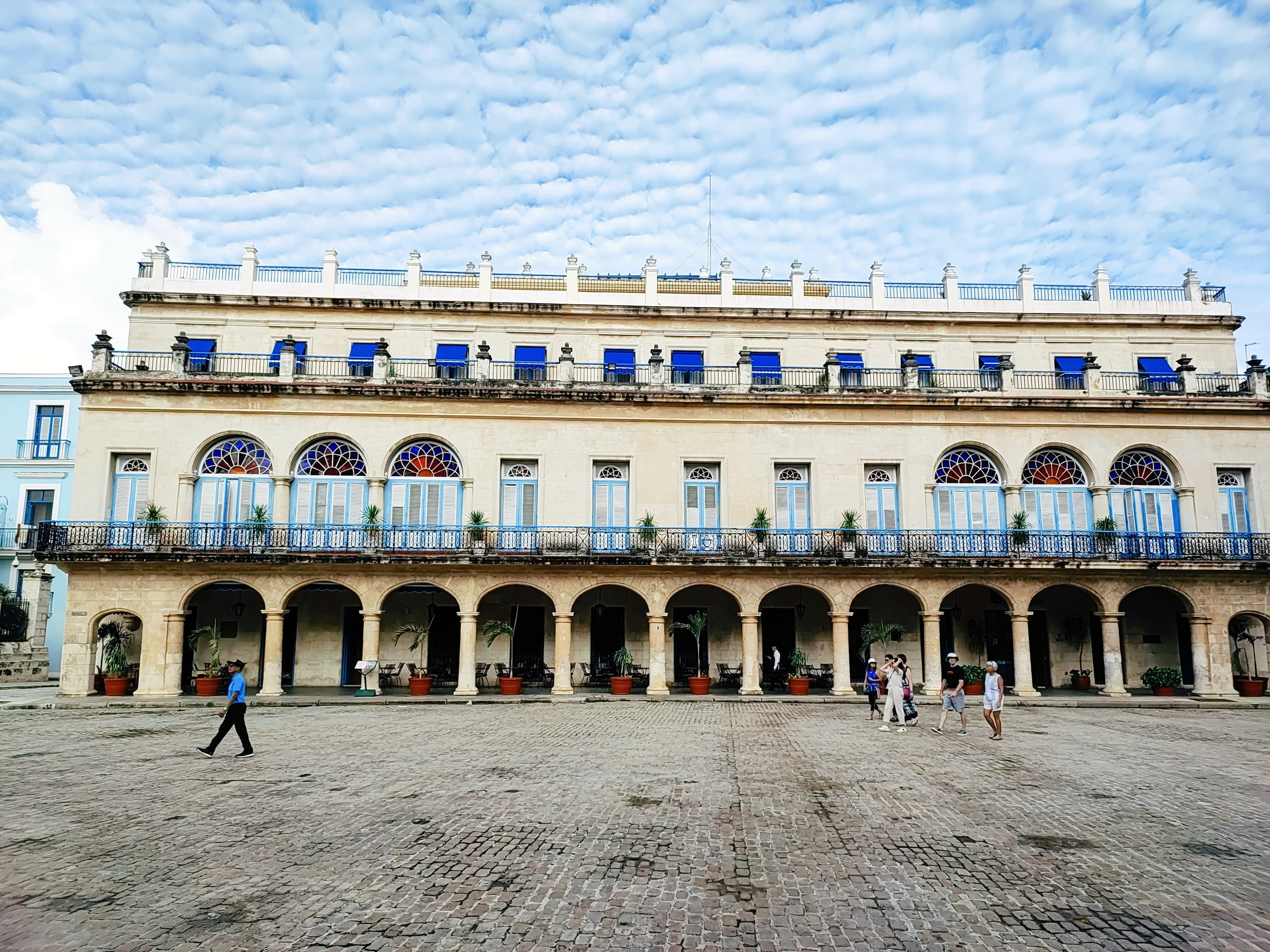 Намобилкус кубинский. Репортажный фотограф Алексей Пирязев