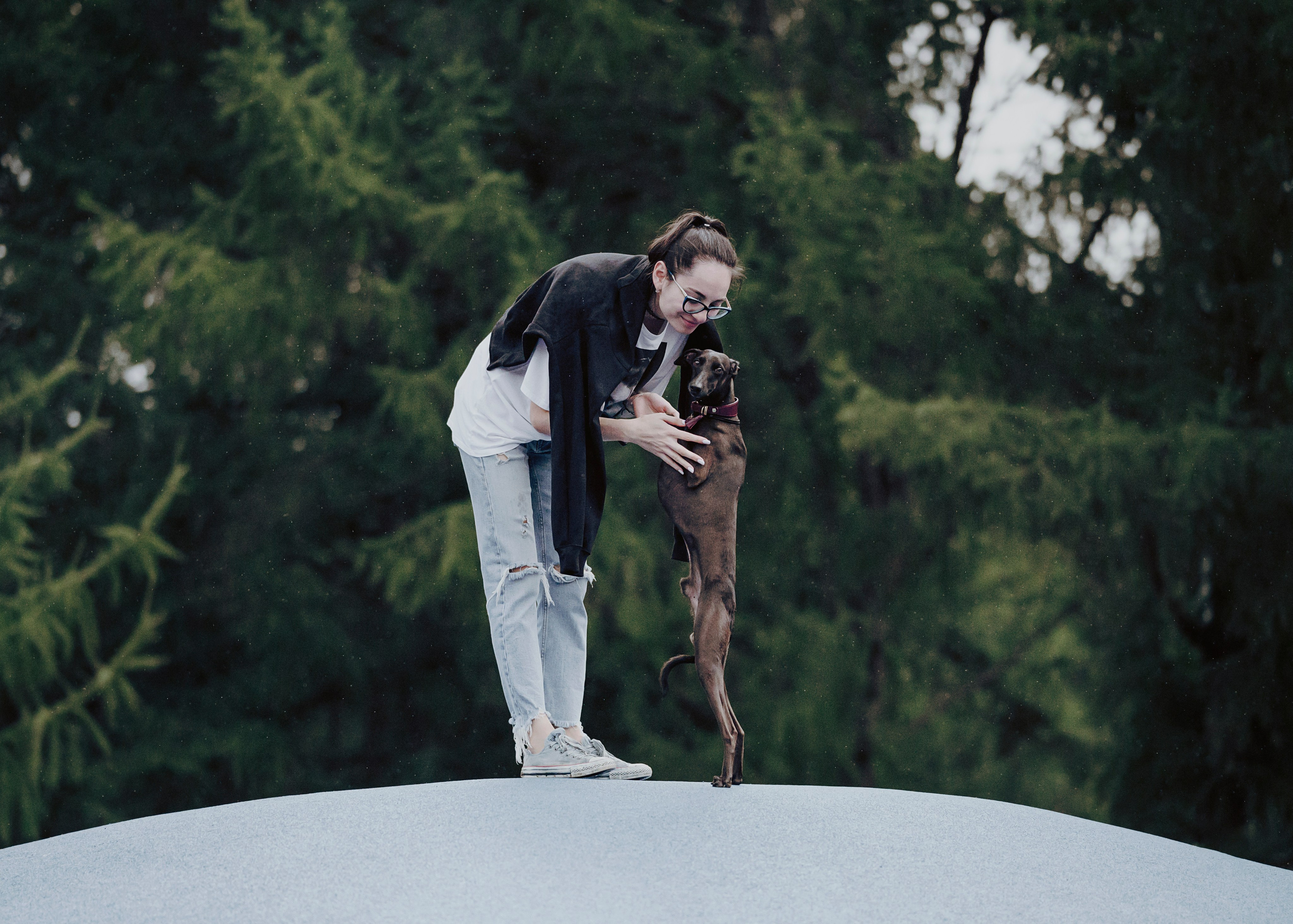 Дофи. Фотограф- анималист Александра Матвеева