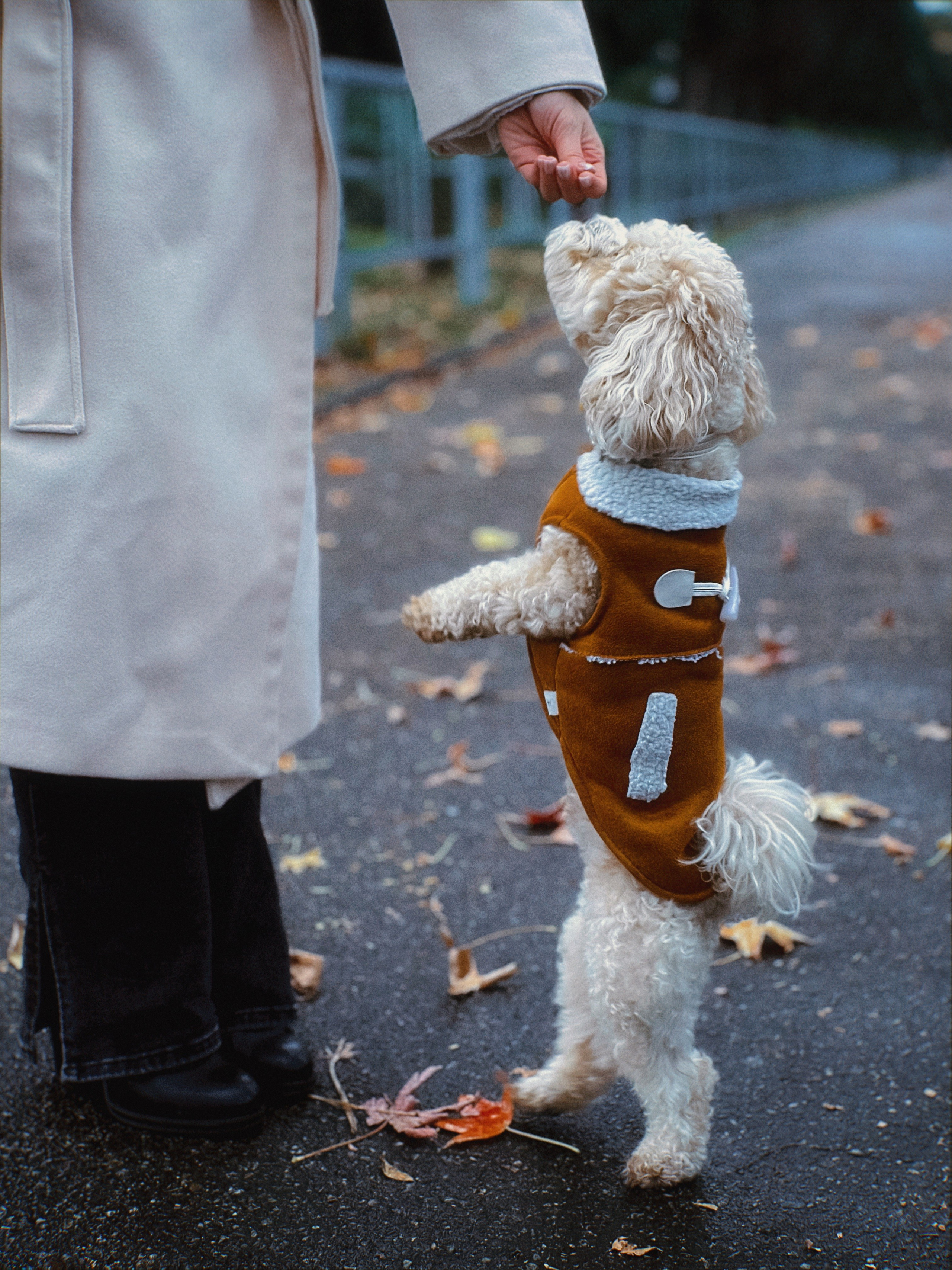 Фото история Персика. Чувственный мобильный фотограф в Казани и Сочи Дьяченко Дарья